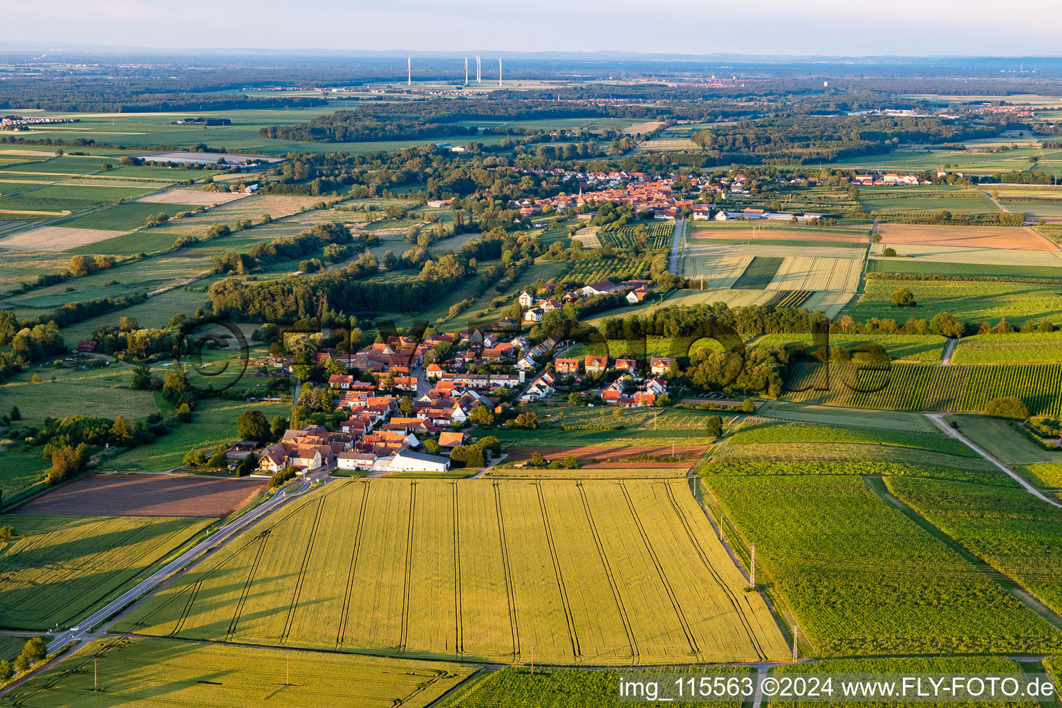 Aerial photograpy of Hergersweiler in the state Rhineland-Palatinate, Germany