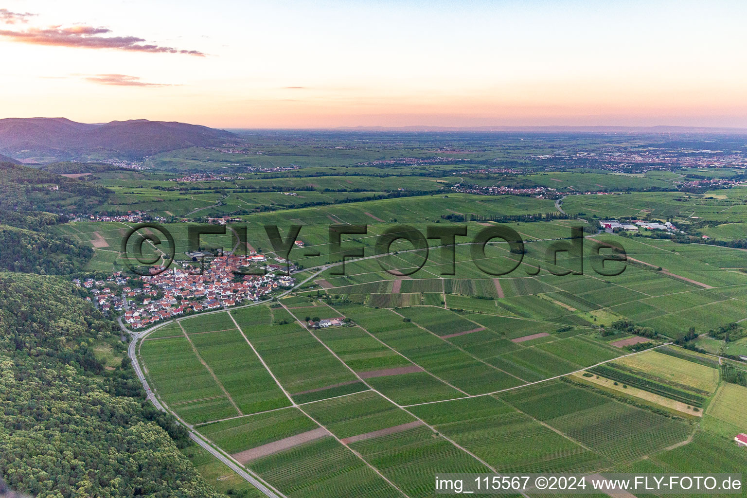 Bird's eye view of Eschbach in the state Rhineland-Palatinate, Germany