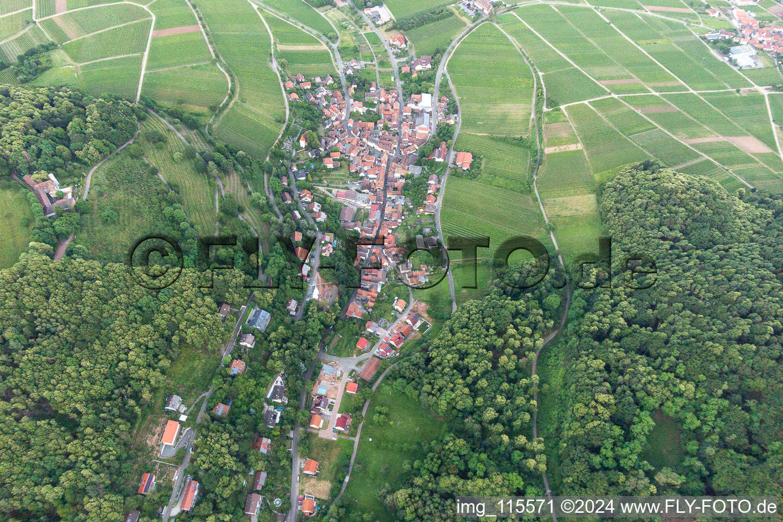 Leinsweiler in the state Rhineland-Palatinate, Germany from the drone perspective