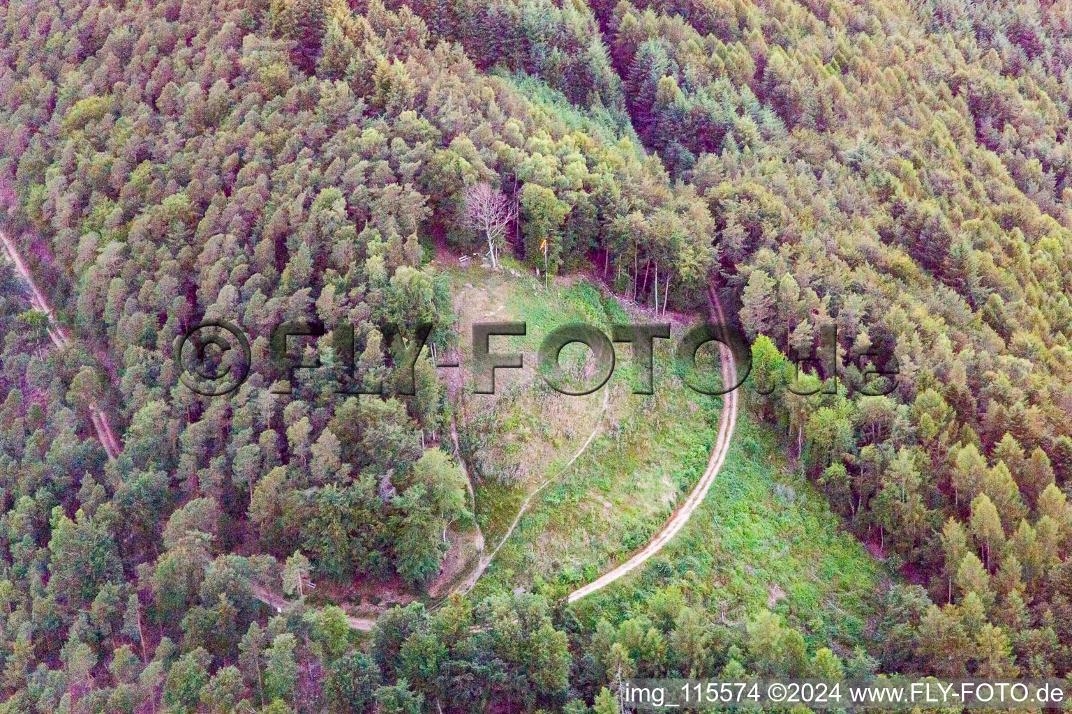 Förlenberg paragliding launch site in Leinsweiler in the state Rhineland-Palatinate, Germany