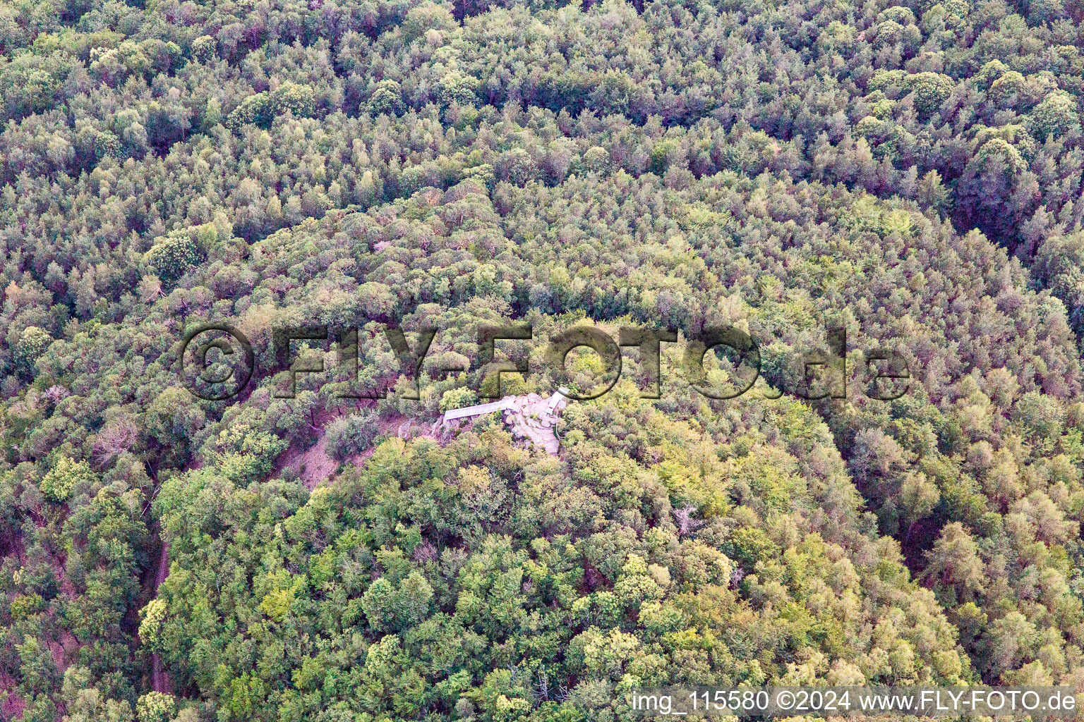 Oblique view of Hohenberg Tower in Birkweiler in the state Rhineland-Palatinate, Germany