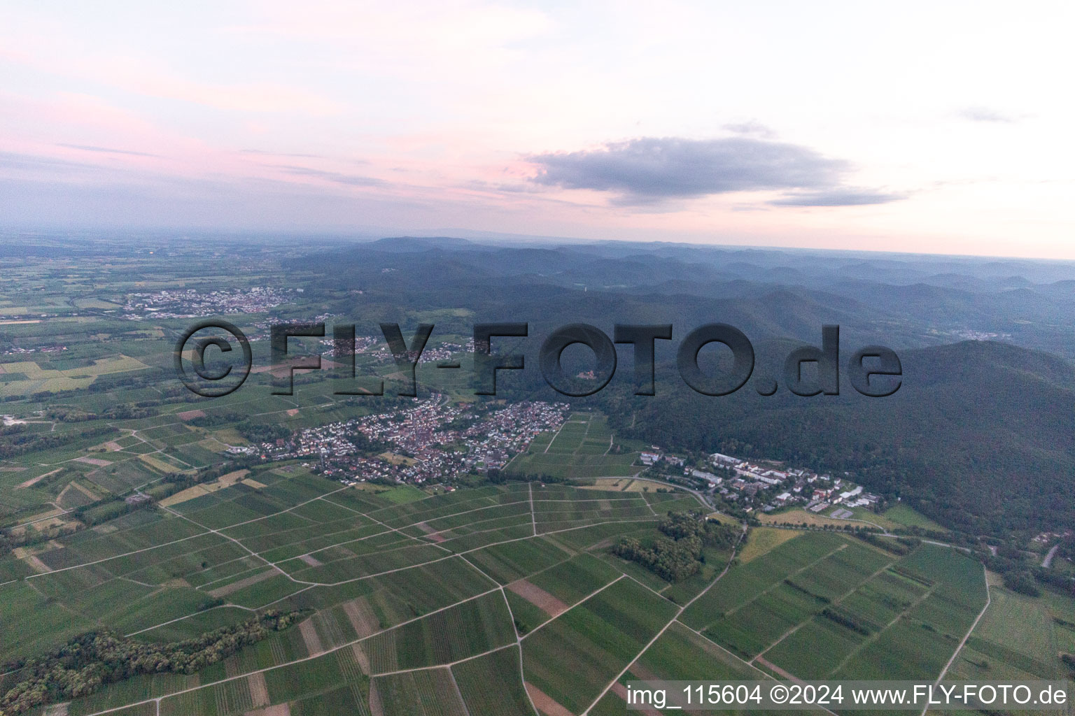 Bird's eye view of Klingenmünster in the state Rhineland-Palatinate, Germany