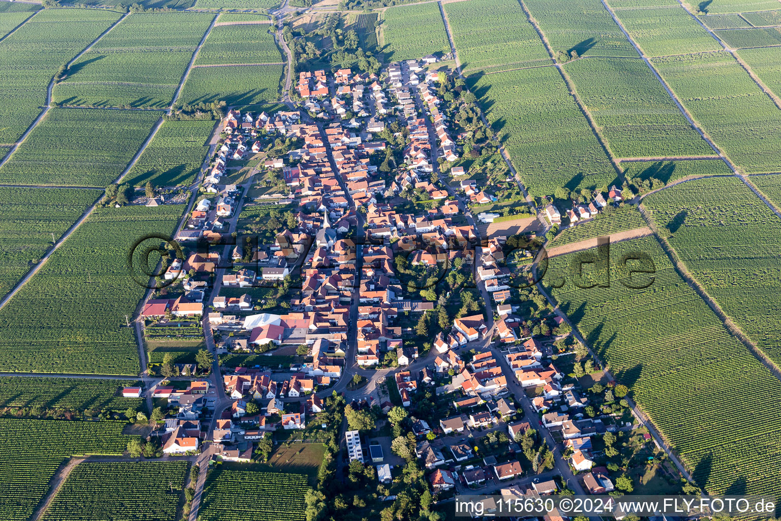 Oblique view of Flemlingen in the state Rhineland-Palatinate, Germany