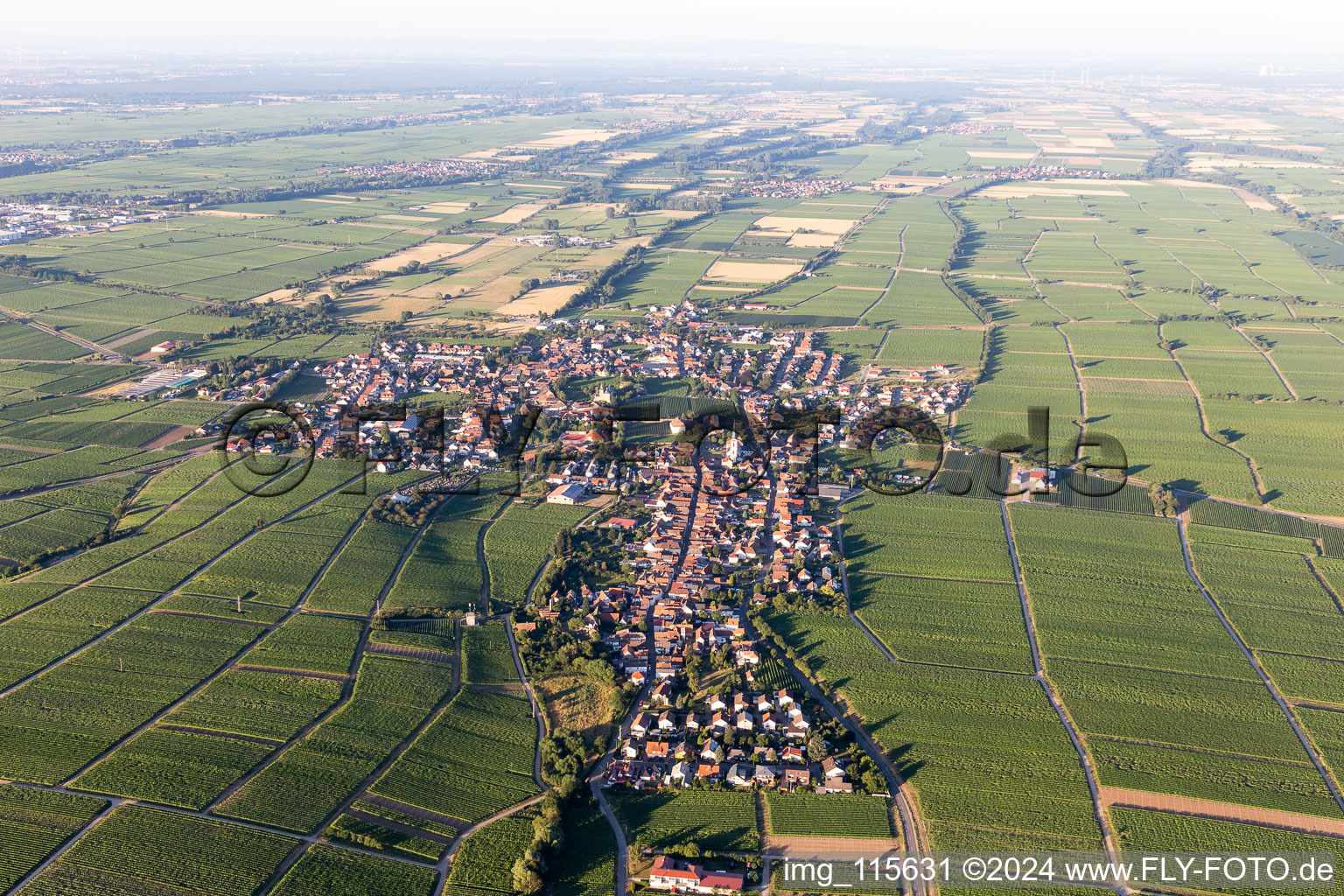 Bird's eye view of Hainfeld in the state Rhineland-Palatinate, Germany