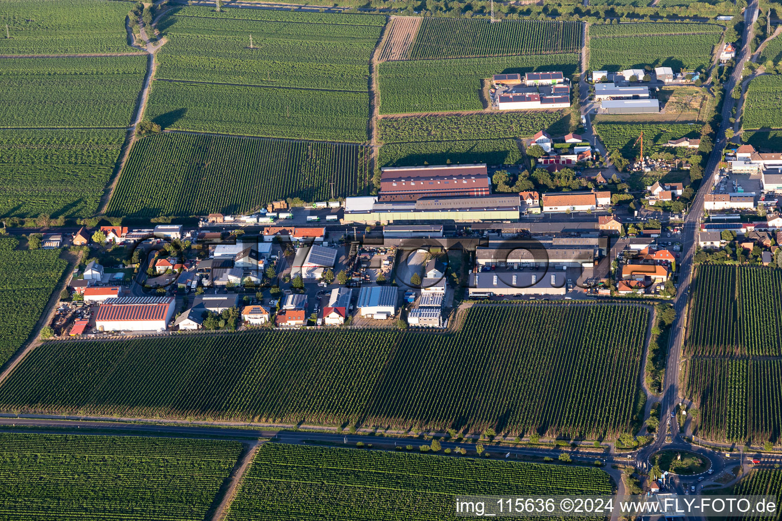 Bird's eye view of Kirrweiler in the state Rhineland-Palatinate, Germany