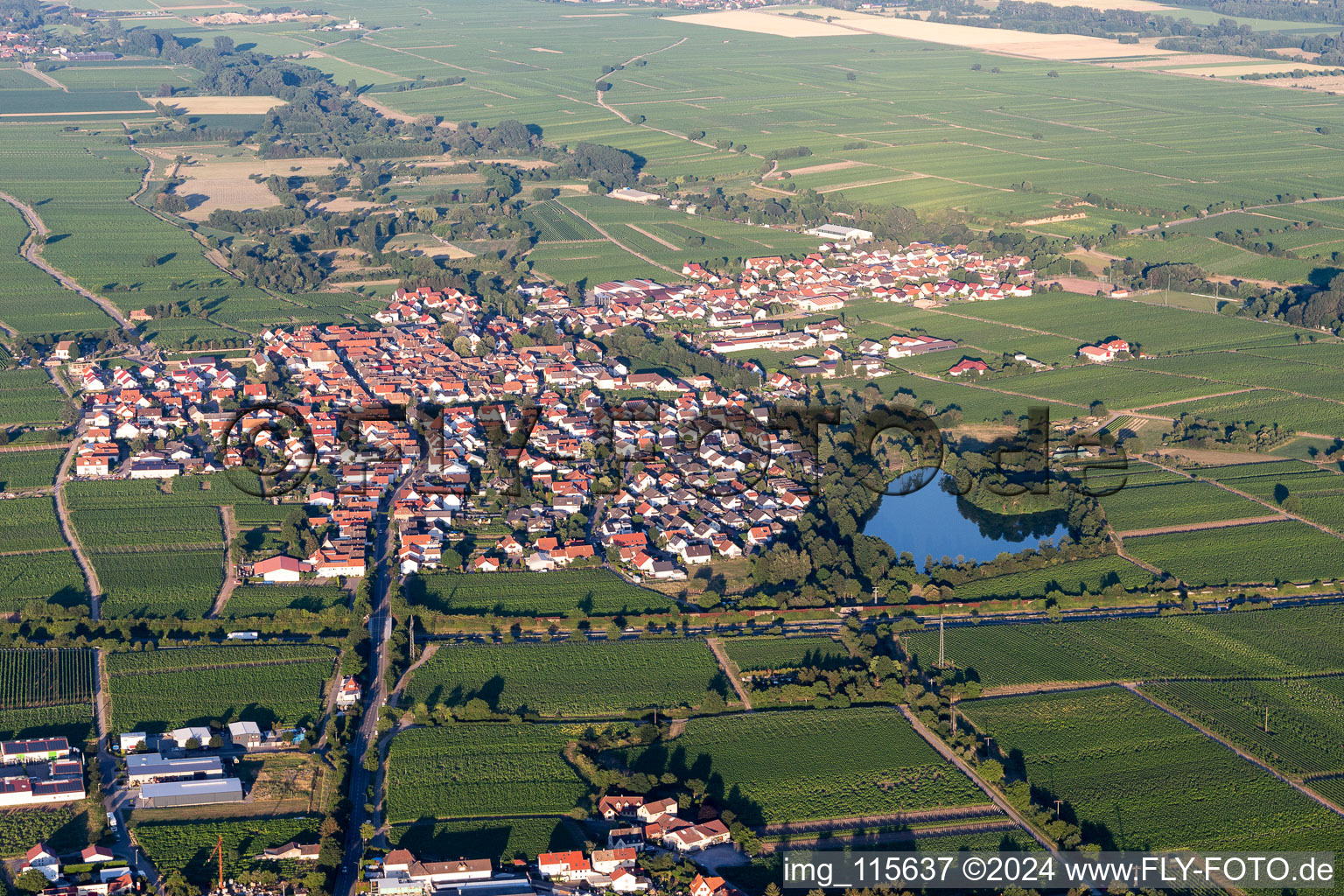 Village - view on the edge of agricultural fields and farmland in Kirrweiler (Pfalz) in the state Rhineland-Palatinate, Germany from above