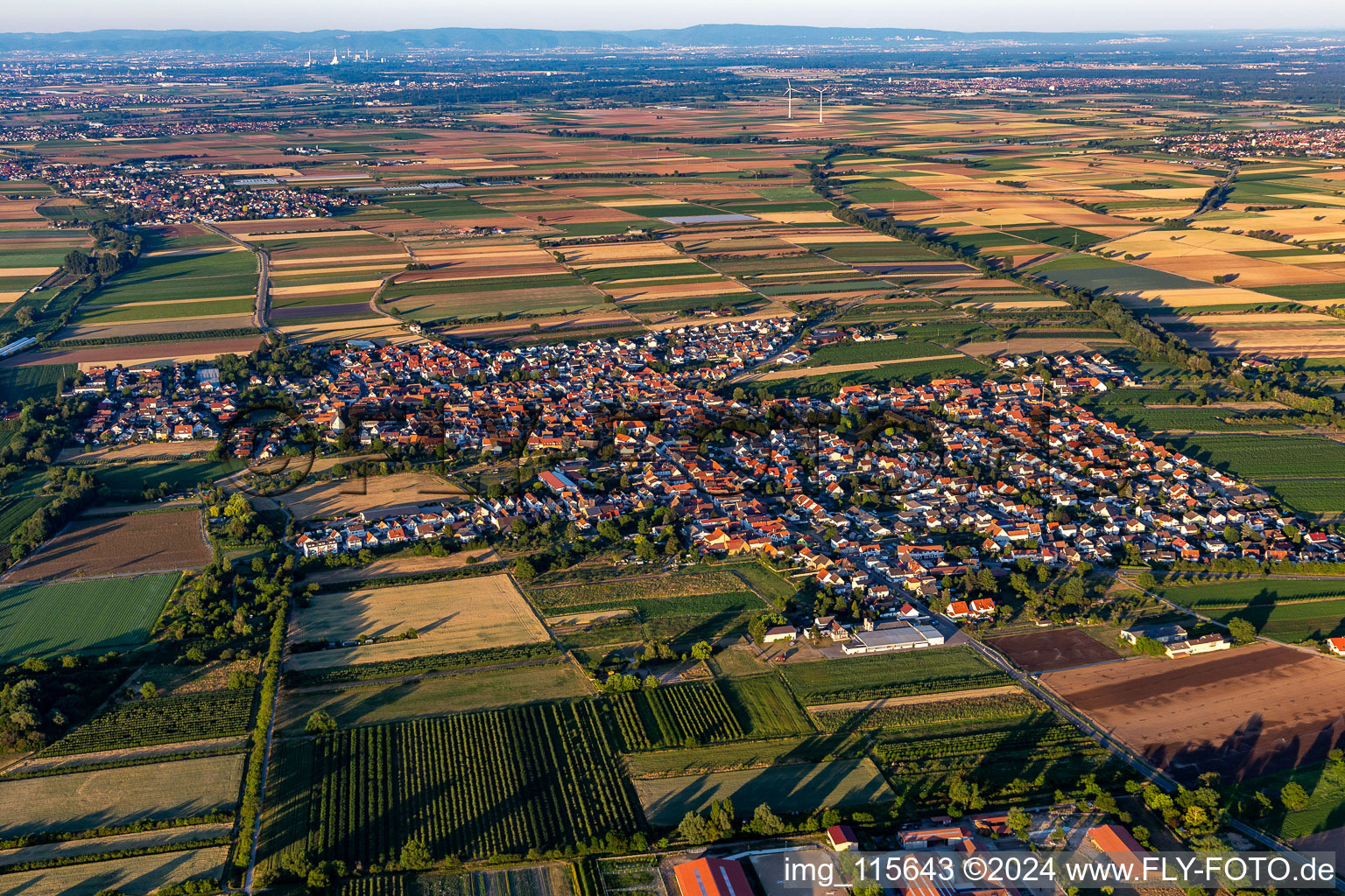 Aerial view of District Niederkirchen in Niederkirchen bei Deidesheim in the state Rhineland-Palatinate, Germany