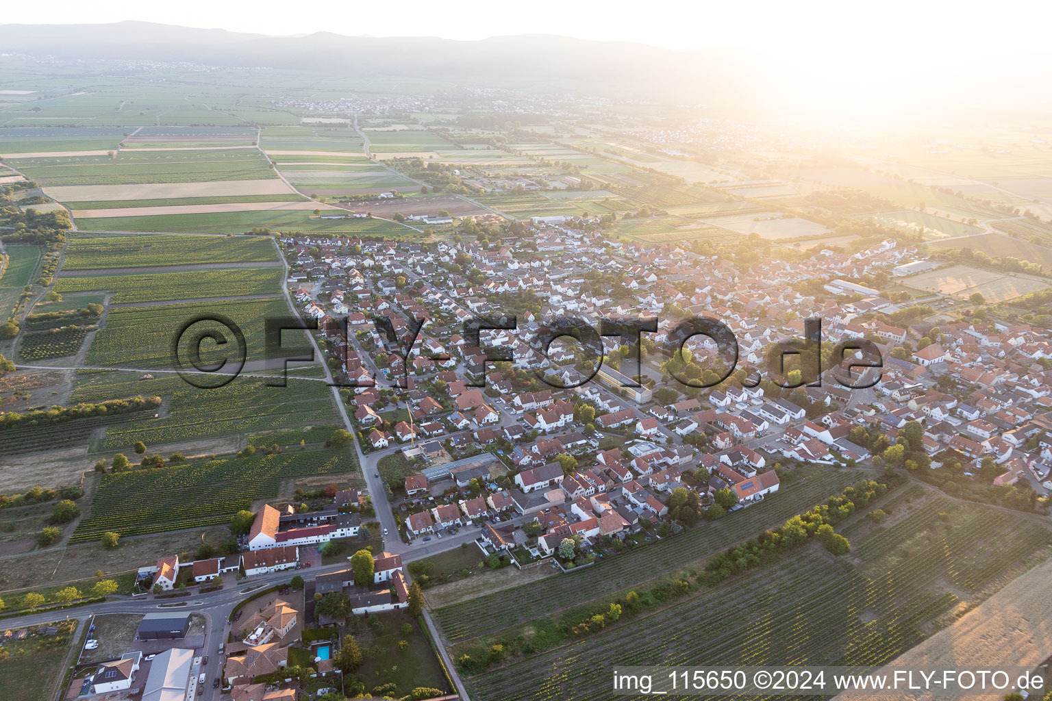 Bird's eye view of Meckenheim in the state Rhineland-Palatinate, Germany