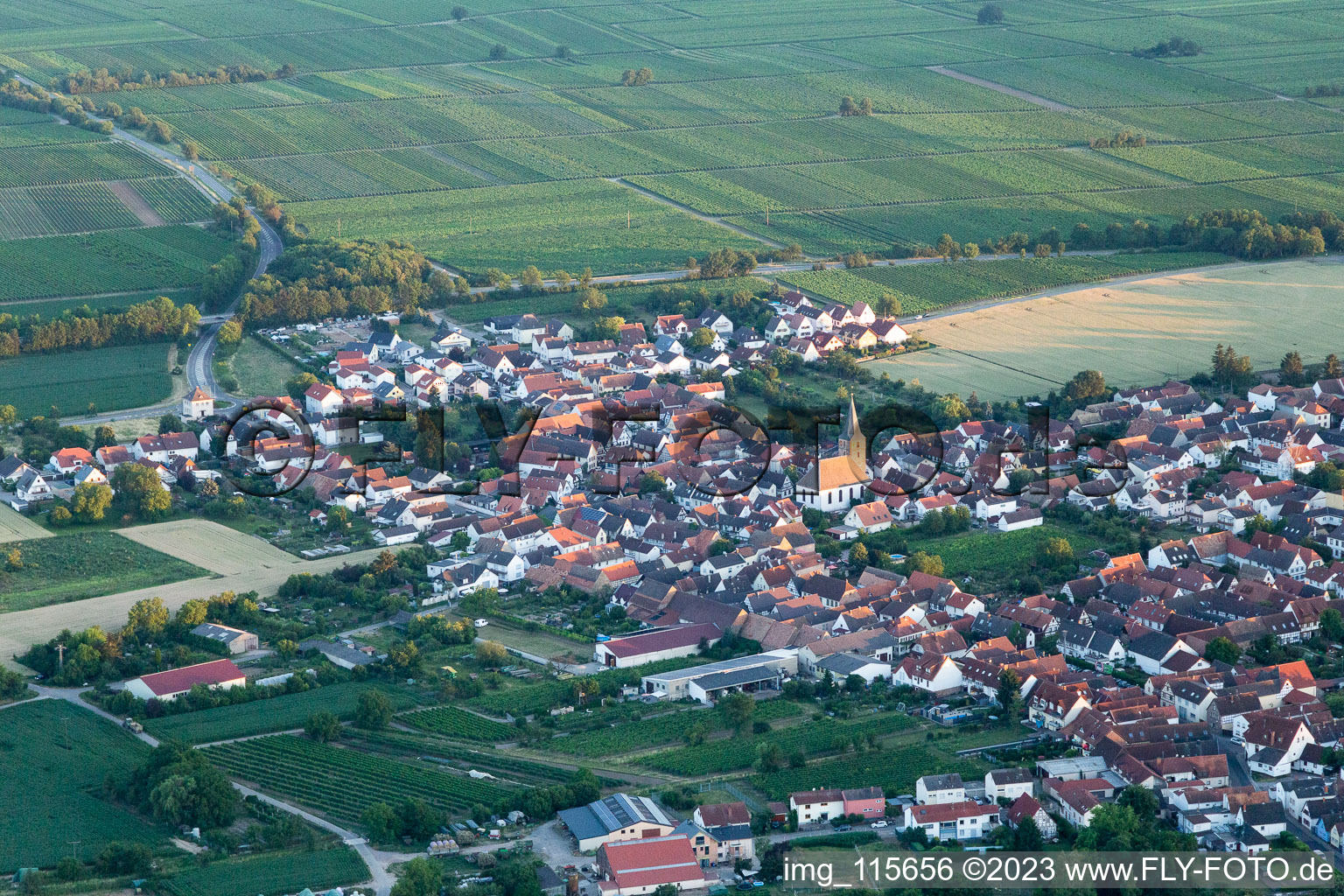 District Lachen in Neustadt an der Weinstraße in the state Rhineland-Palatinate, Germany from the plane