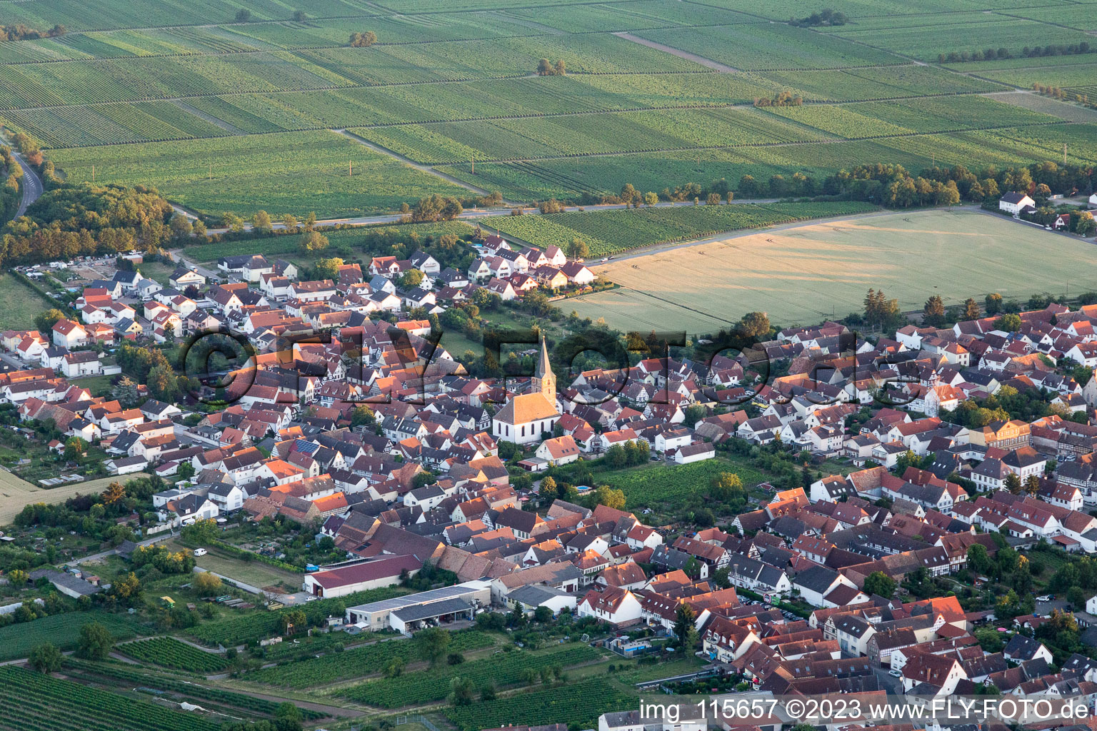 Bird's eye view of District Lachen in Neustadt an der Weinstraße in the state Rhineland-Palatinate, Germany