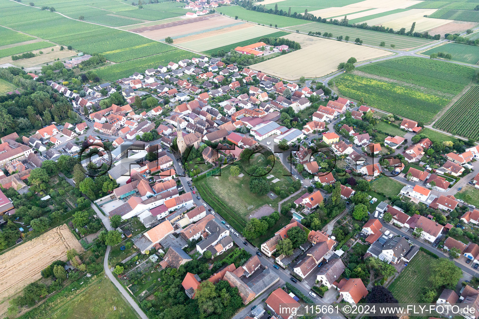 Großfischlingen in the state Rhineland-Palatinate, Germany from a drone