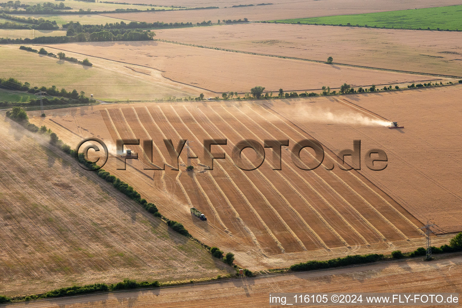 Rapeseed harvest in Wechmar in the state Thuringia, Germany