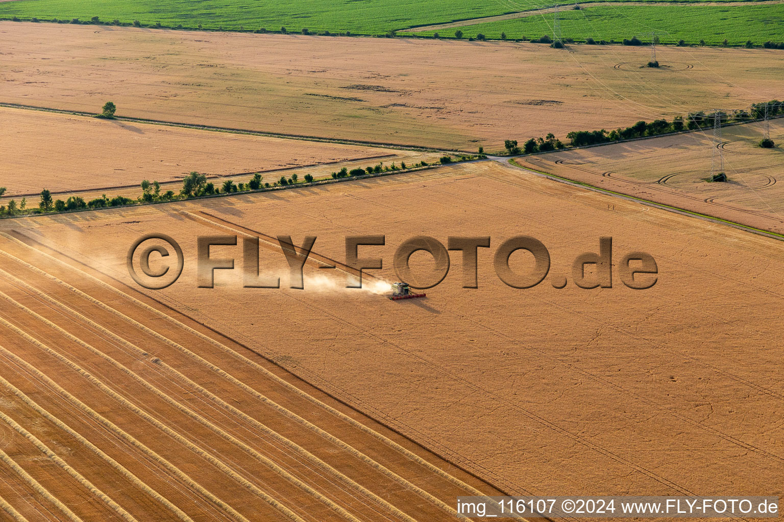 Aerial view of Rapeseed harvest in Wechmar in the state Thuringia, Germany