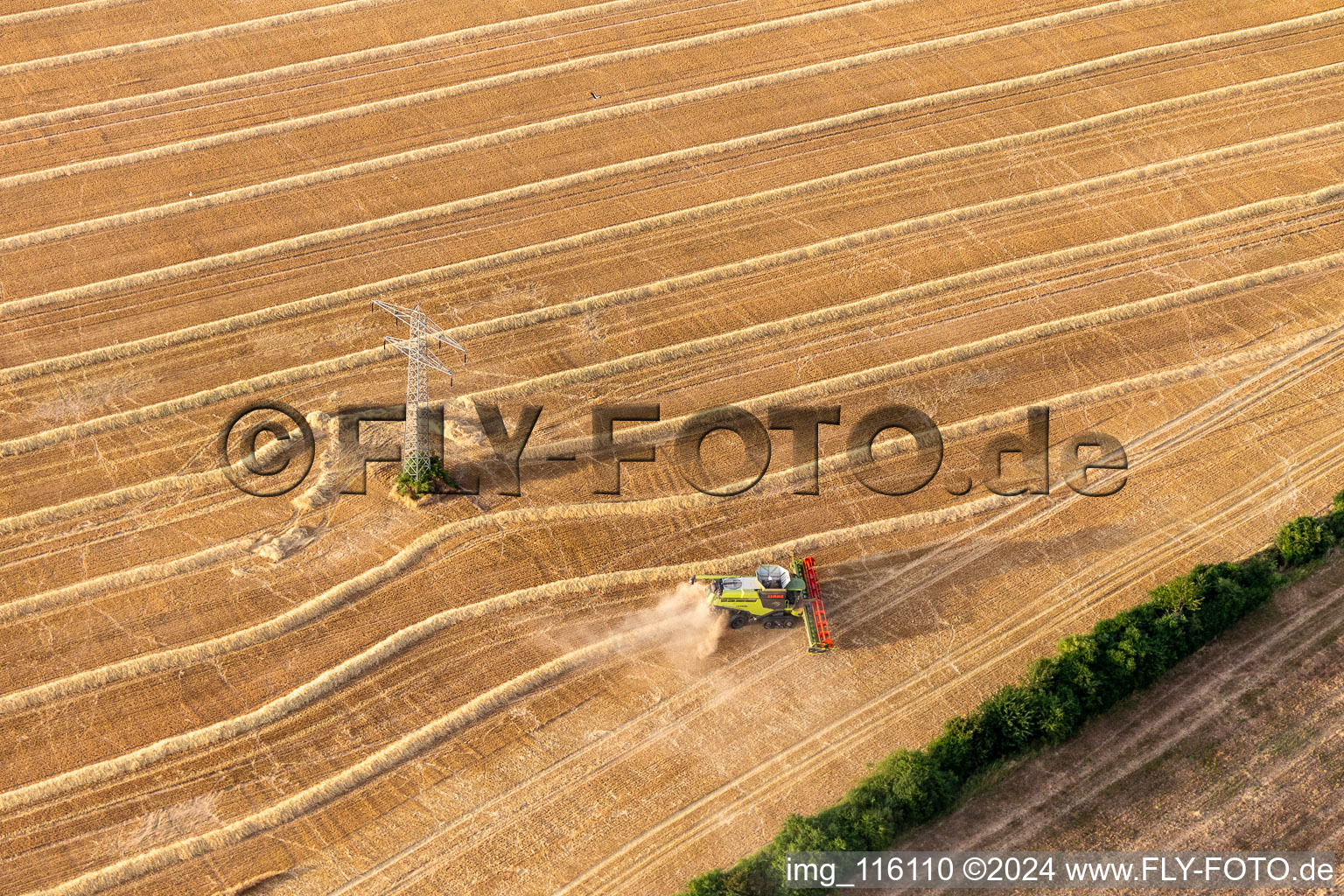 Oblique view of Rapeseed harvest in Wechmar in the state Thuringia, Germany