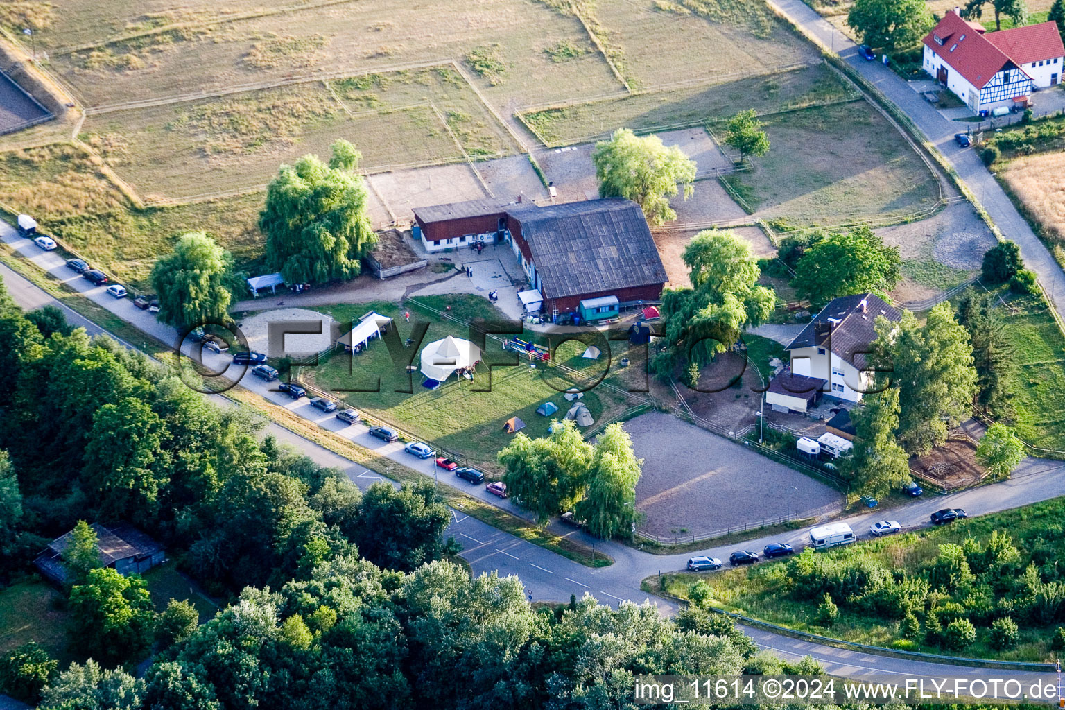 Drone recording of Reithof Trab eV therapeutic riding on Lake Constance in the district Wollmatingen in Konstanz in the state Baden-Wuerttemberg, Germany