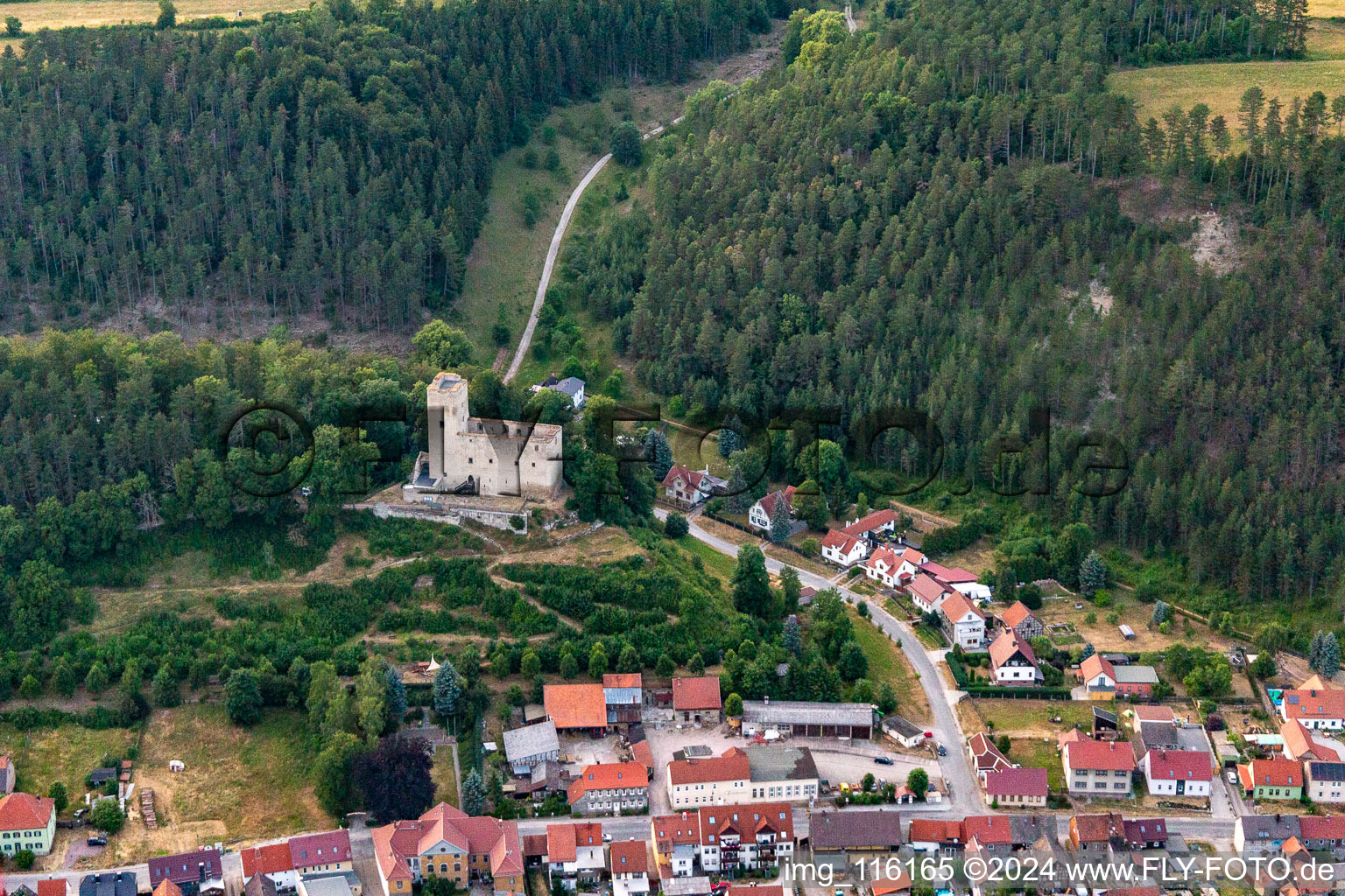 Aerial view of Castle ruins Liebenstein in Liebenstein in the state Thuringia, Germany