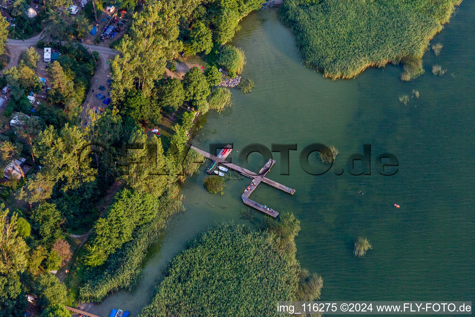 House boat berths and moorings on the shore area of Conping on Oberuckersee in the district Warnitz in Oberuckersee in the state Brandenburg, Germany