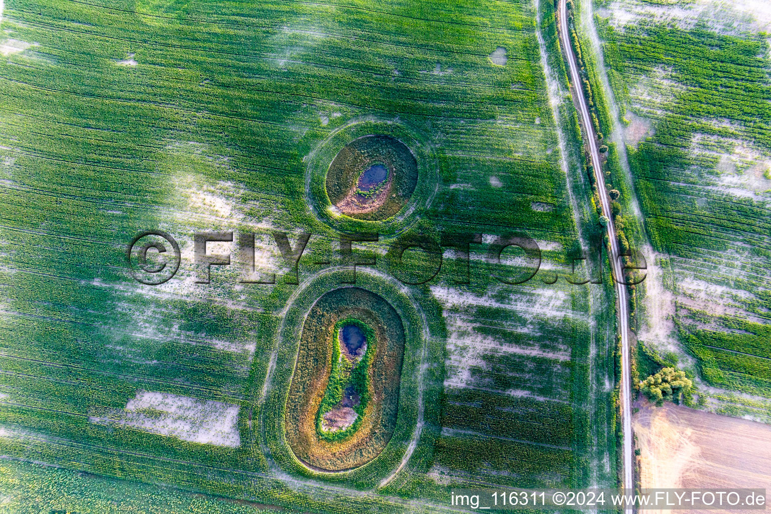 Round structures from glacier remain on a field in Gerswalde in the state Brandenburg, Germany