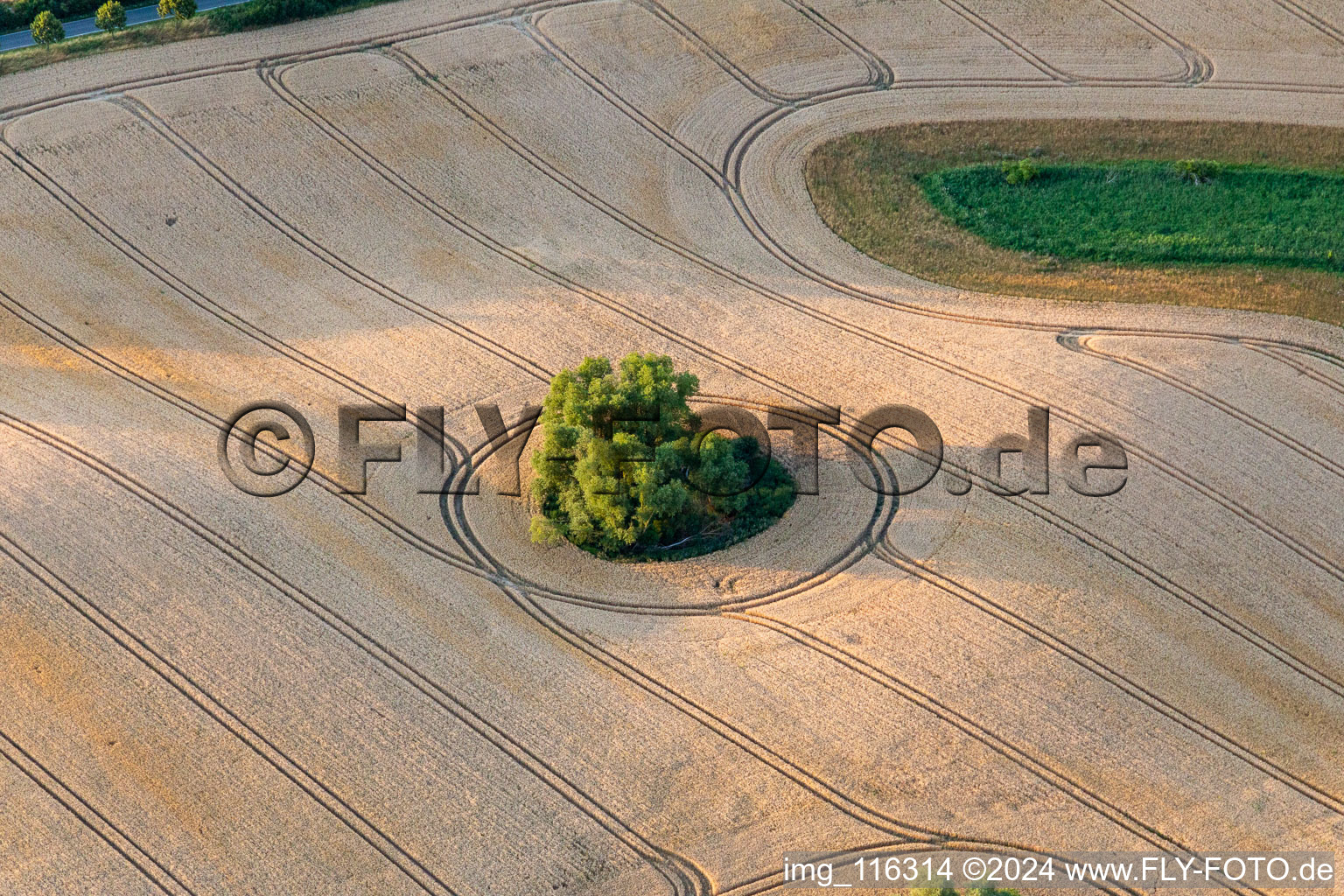 Round structure from glacier remain on a field in Gerswalde in the state Brandenburg, Germany