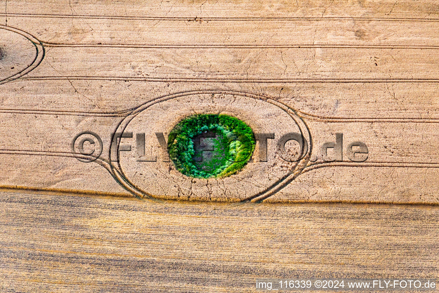 Aerial view of Round structure from glacier remain on a field in Gerswalde in the state Brandenburg, Germany