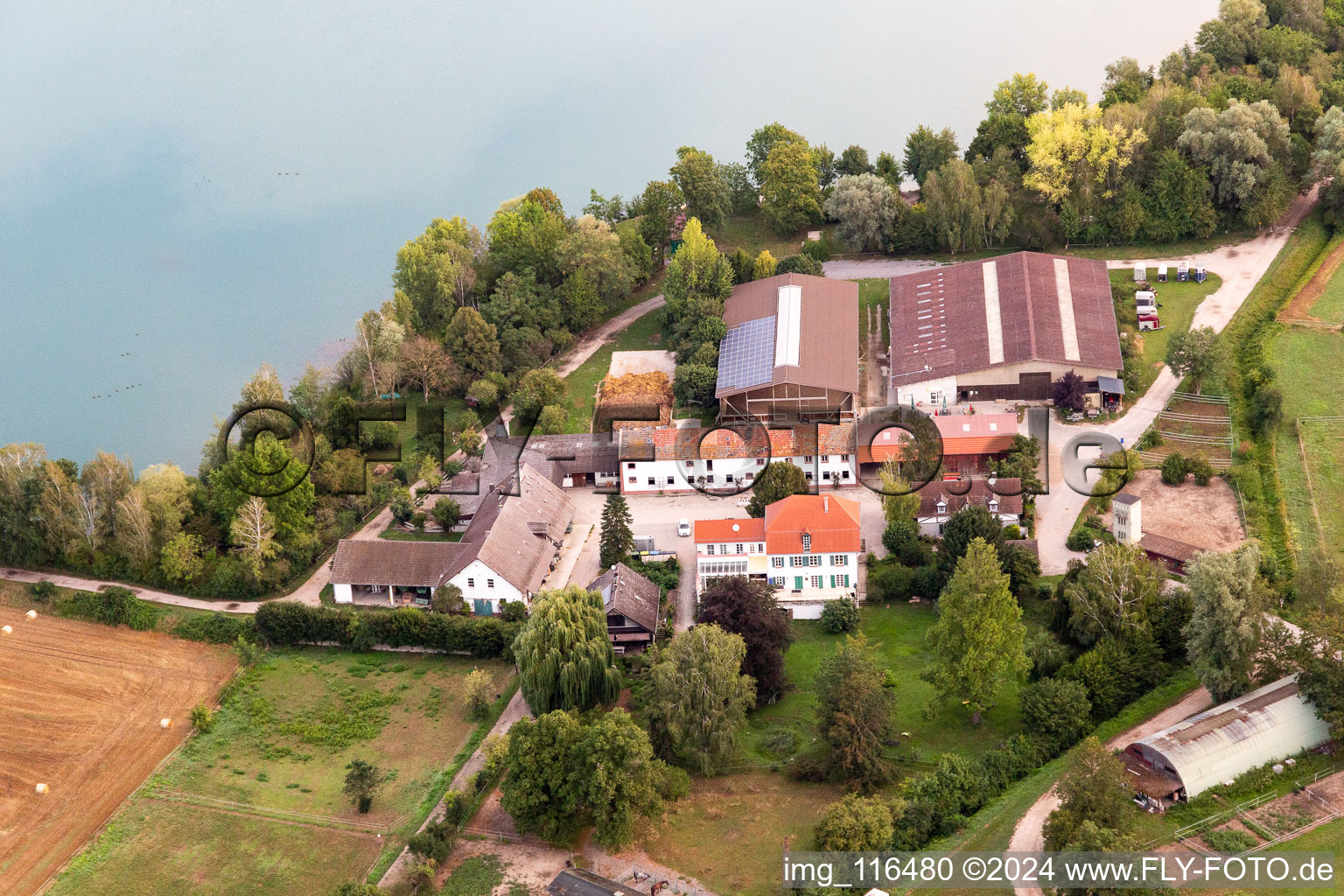 Pony farm at Wammsee in Speyer in the state Rhineland-Palatinate, Germany