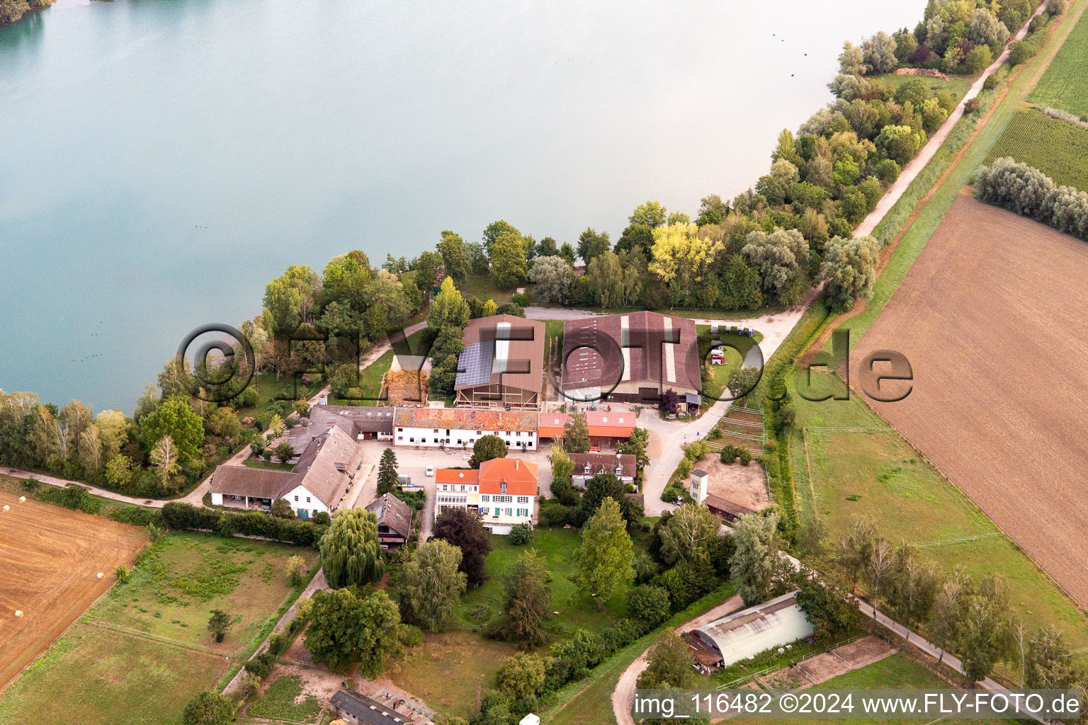 Aerial view of Pony farm at Wammsee in Speyer in the state Rhineland-Palatinate, Germany