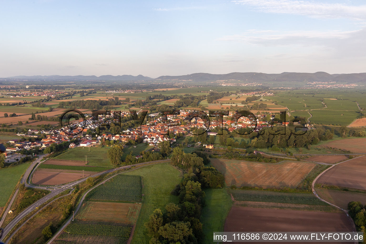 Oblique view of Geinsheim in the state Rhineland-Palatinate, Germany