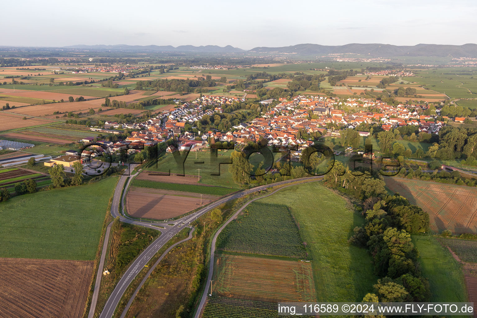 District Geinsheim in Neustadt an der Weinstraße in the state Rhineland-Palatinate, Germany from above