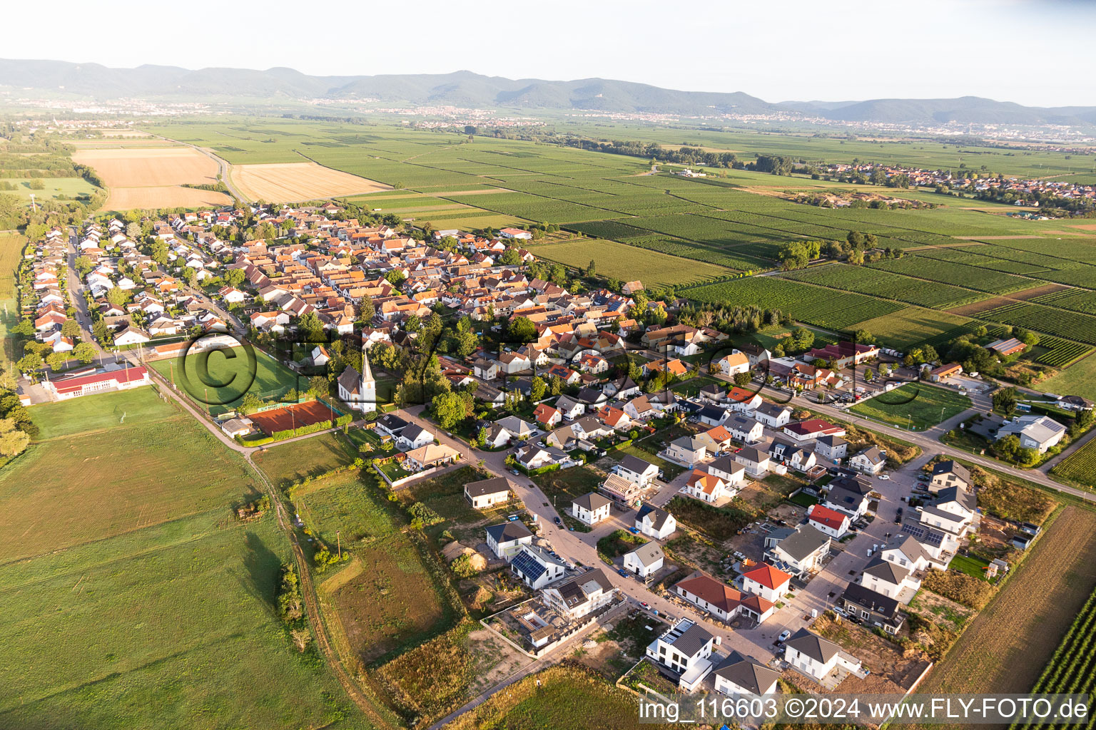 Altdorf in the state Rhineland-Palatinate, Germany from above