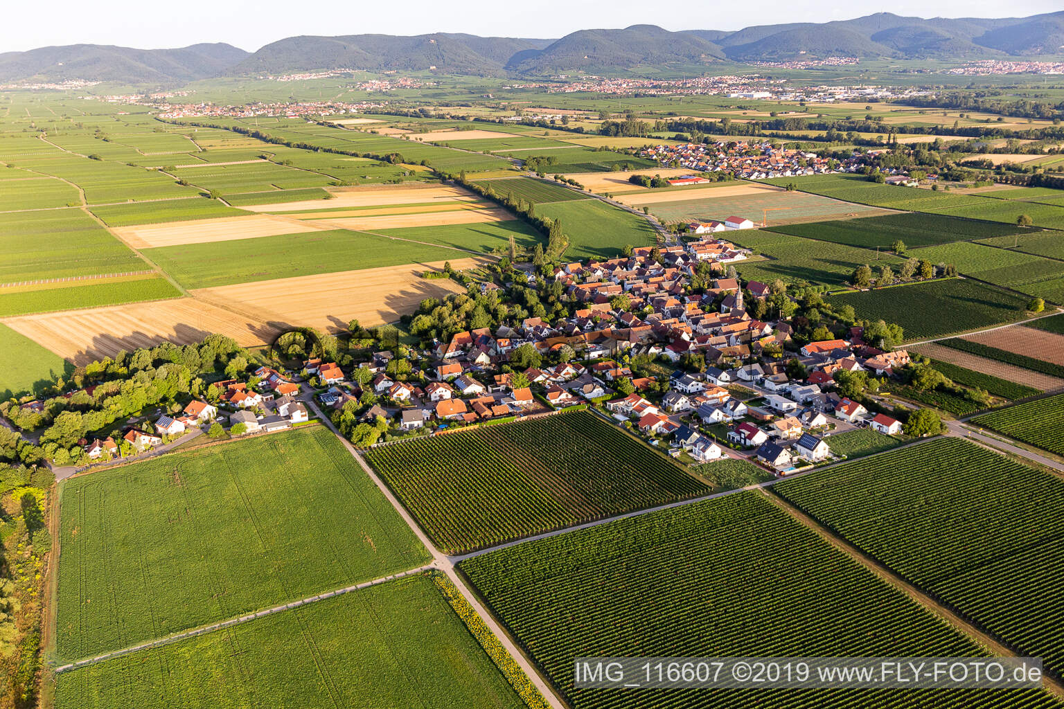 Drone recording of Agricultural land and field borders surround the settlement area of the village in Kleinfischlingen in the state Rhineland-Palatinate, Germany
