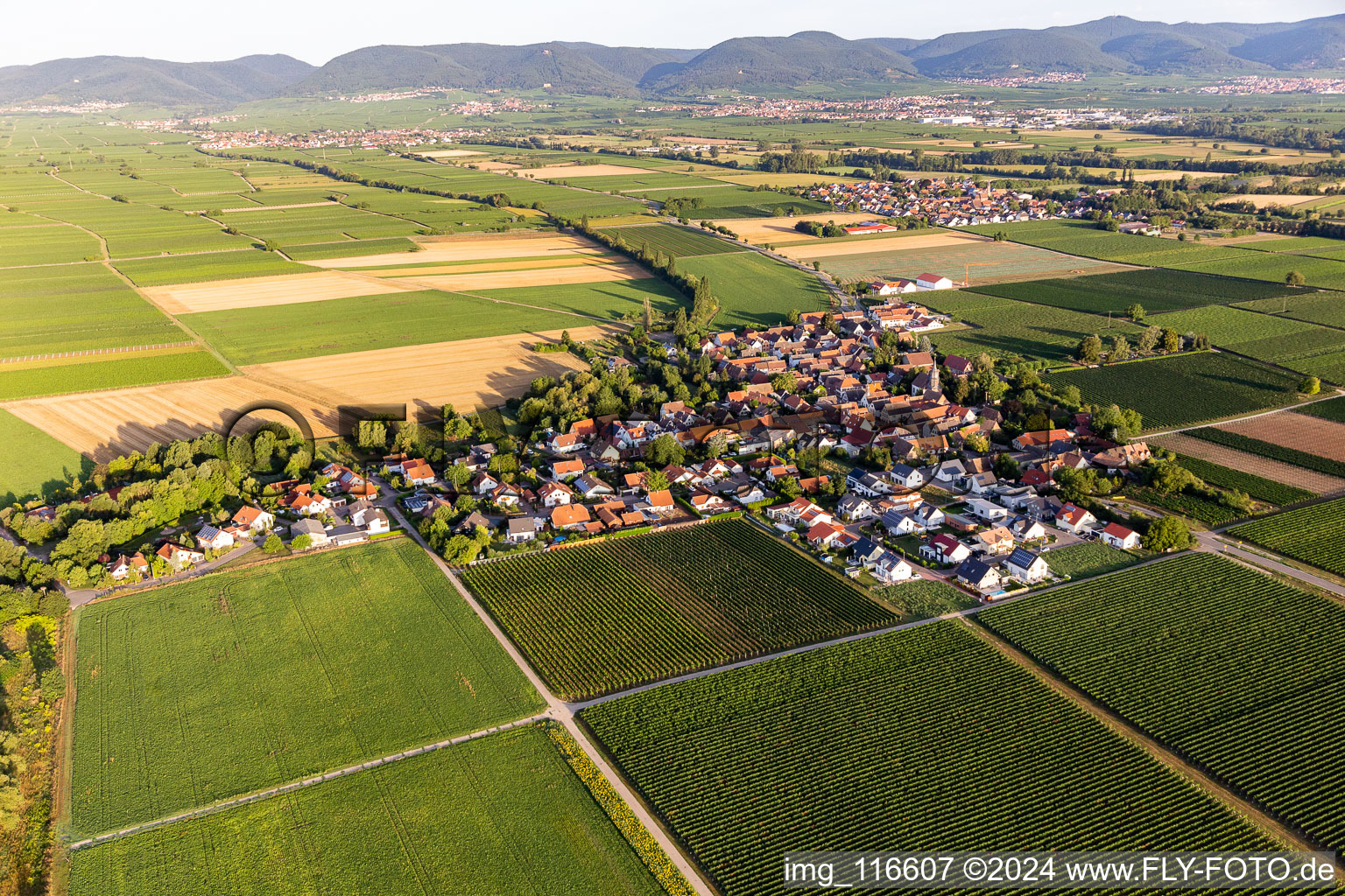 Drone recording of Agricultural land and field borders surround the settlement area of the village in Kleinfischlingen in the state Rhineland-Palatinate, Germany