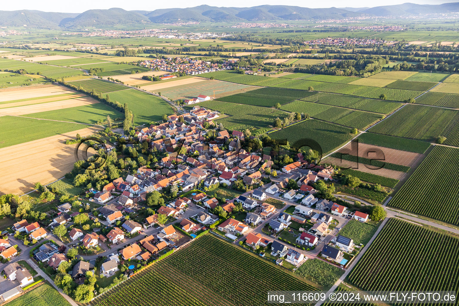 Drone image of Kleinfischlingen in the state Rhineland-Palatinate, Germany