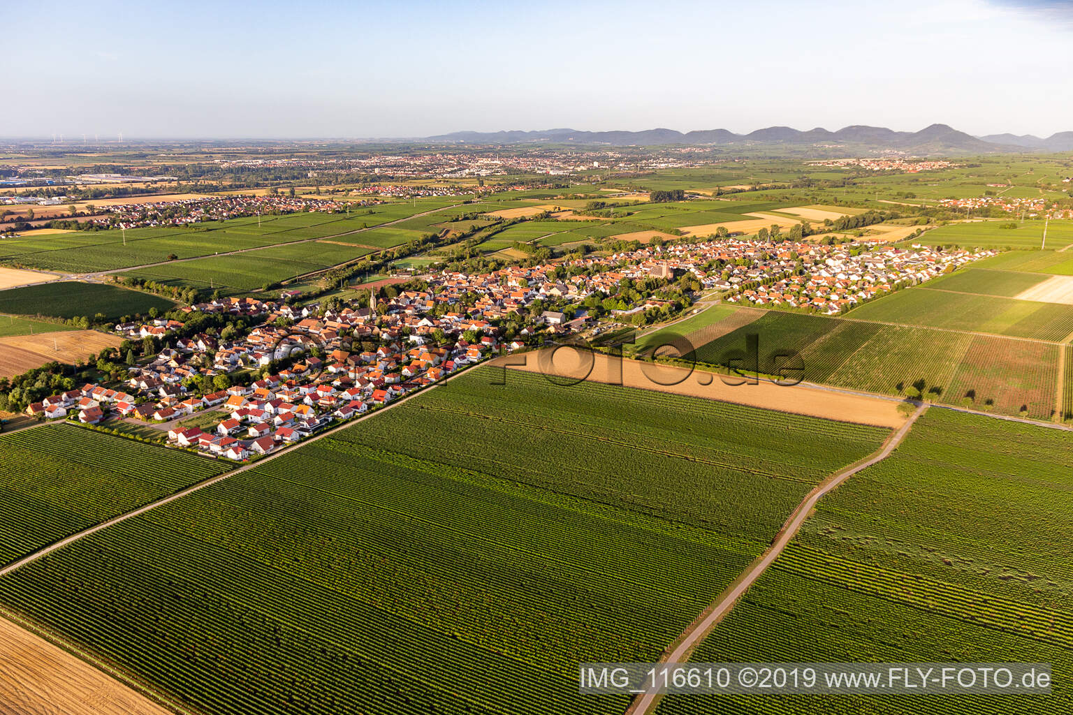 Agricultural land and field borders surround the settlement area of the village in Essingen in the state Rhineland-Palatinate, Germany seen from a drone