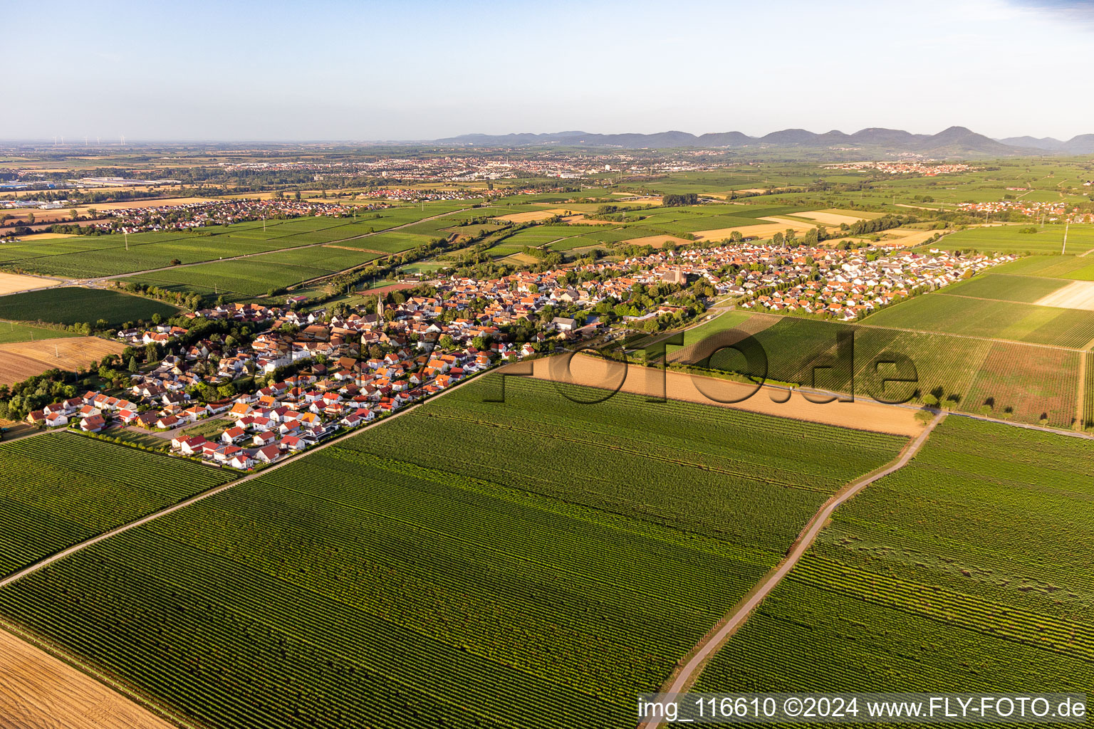 Agricultural land and field borders surround the settlement area of the village in Essingen in the state Rhineland-Palatinate, Germany seen from a drone