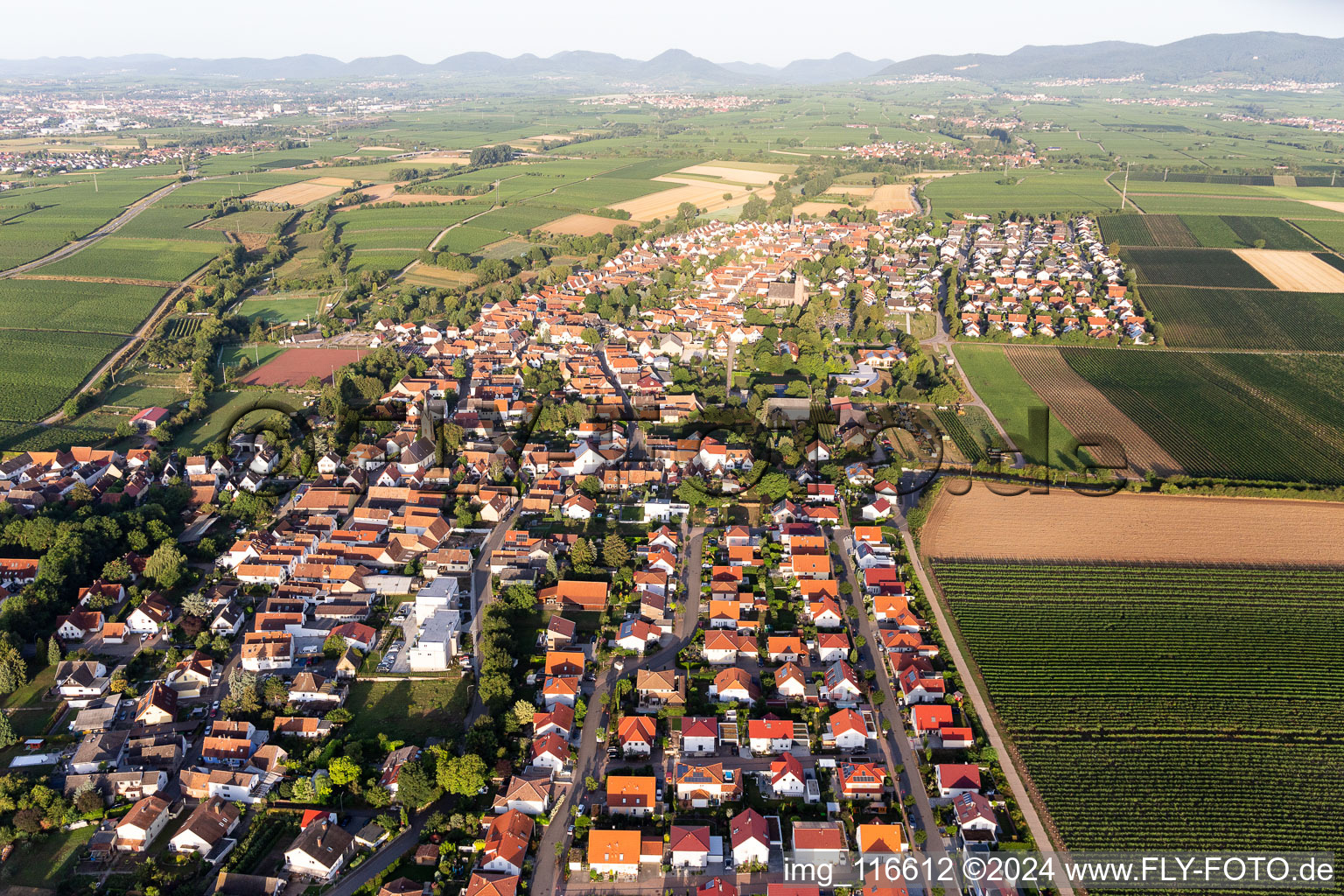 Aerial view of Essingen in the state Rhineland-Palatinate, Germany