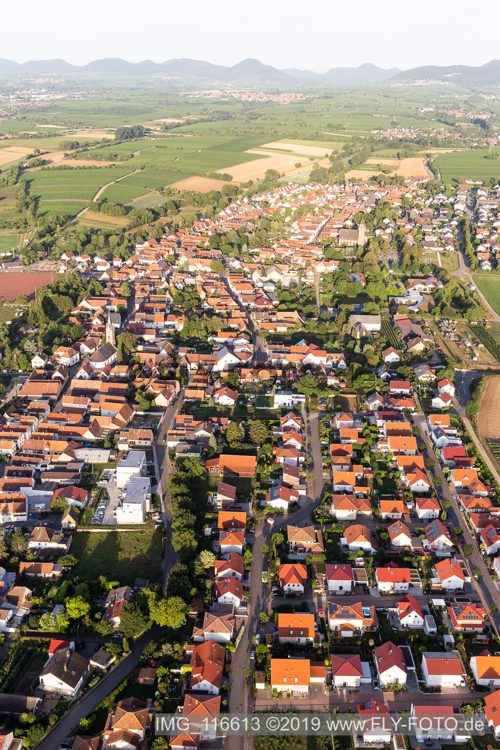 Essingen in the state Rhineland-Palatinate, Germany seen from above