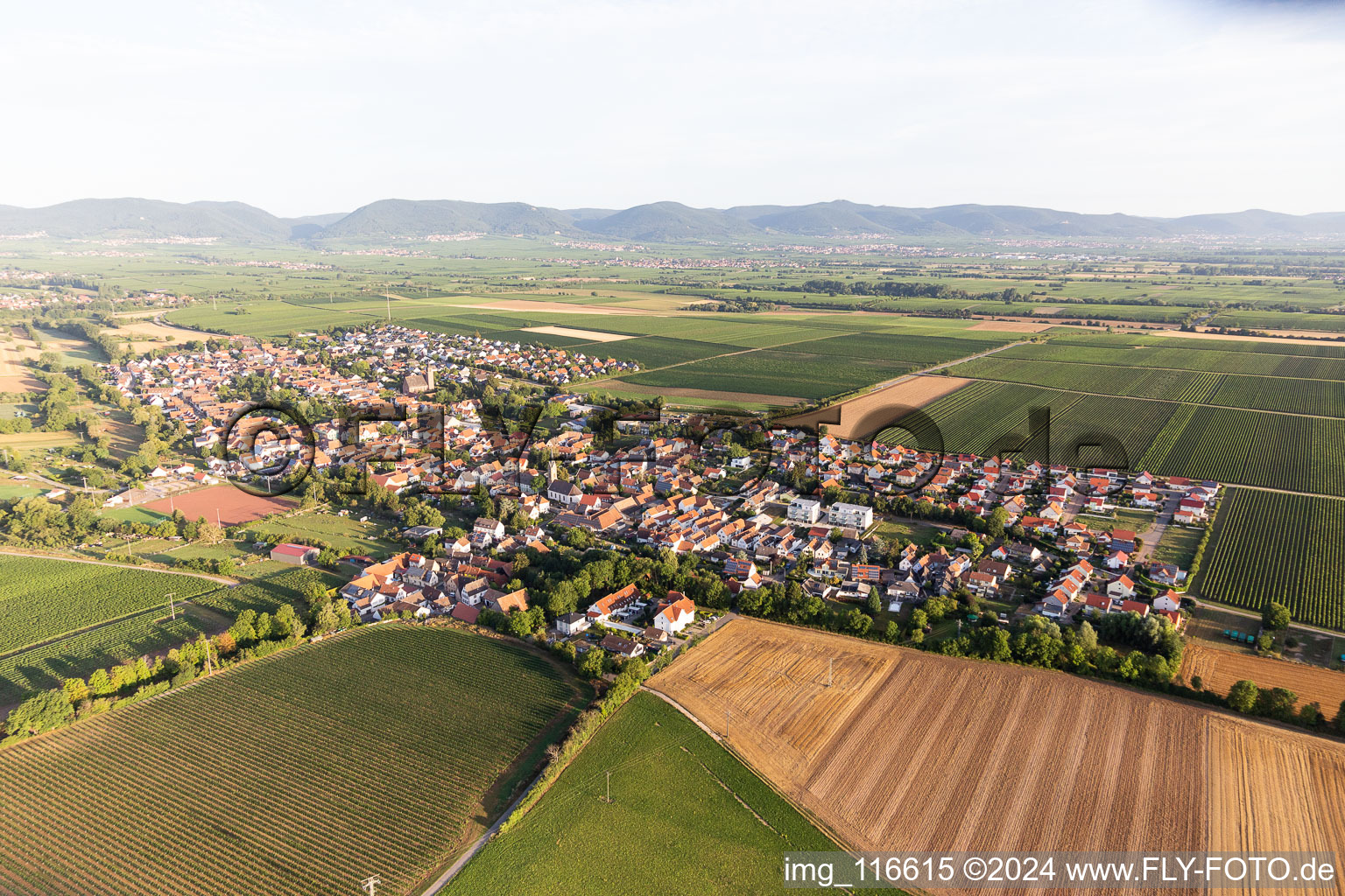 Agricultural land and field borders surround the settlement area of the village in Essingen in the state Rhineland-Palatinate, Germany from the plane