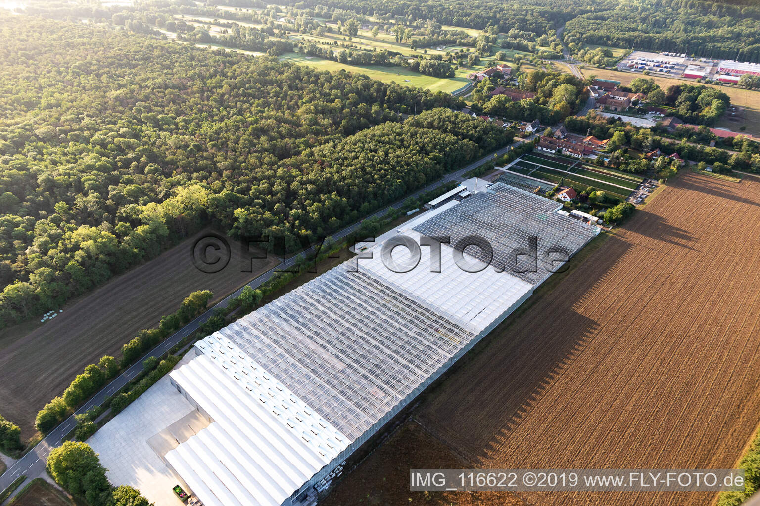 Aerial view of Endic Geraniums in the district Dreihof in Essingen in the state Rhineland-Palatinate, Germany