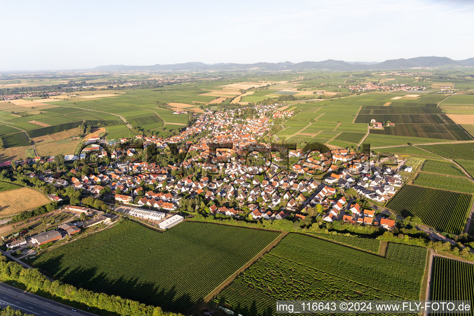 Insheim in the state Rhineland-Palatinate, Germany from a drone