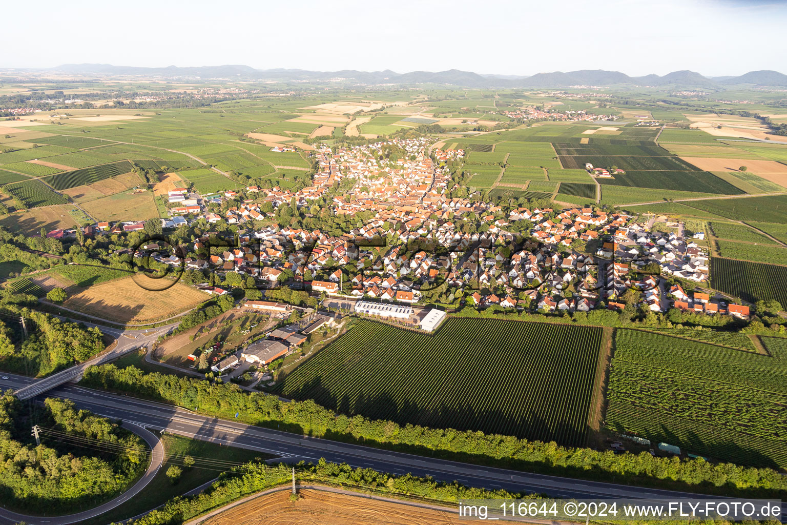 Insheim in the state Rhineland-Palatinate, Germany seen from a drone