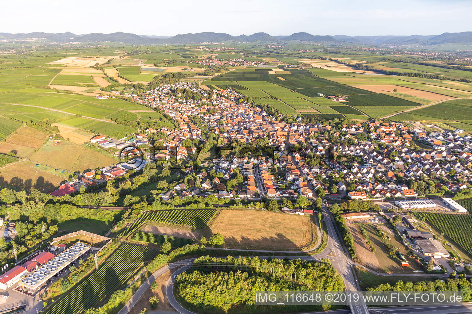 Aerial view of Insheim in the state Rhineland-Palatinate, Germany