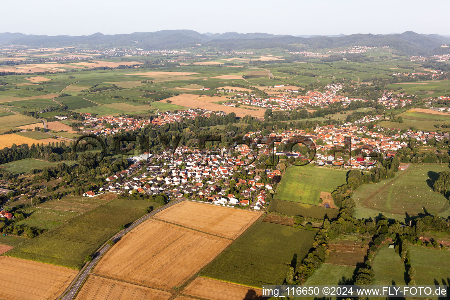 Aerial view of District Billigheim in Billigheim-Ingenheim in the state Rhineland-Palatinate, Germany