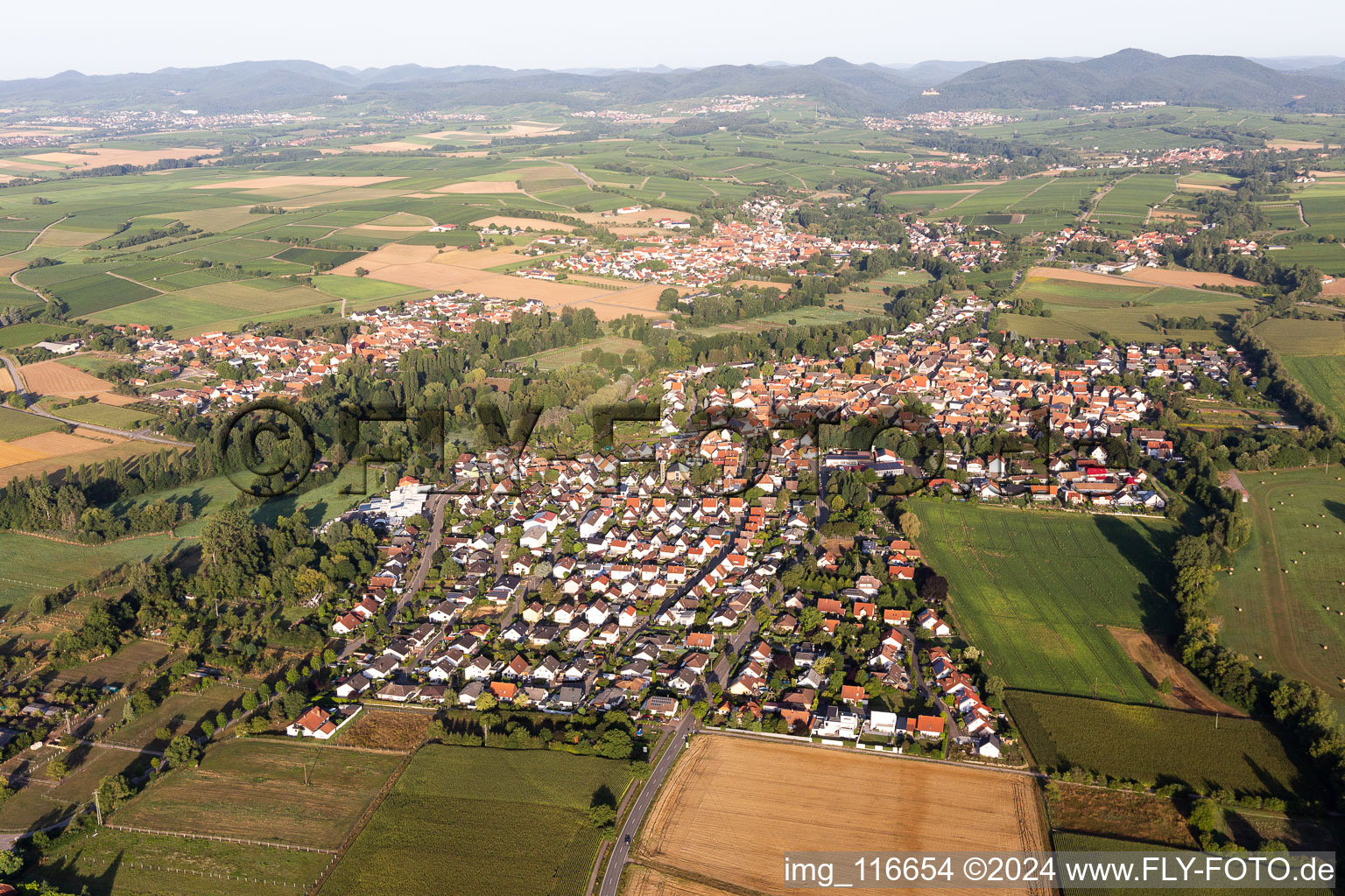 Oblique view of District Billigheim in Billigheim-Ingenheim in the state Rhineland-Palatinate, Germany