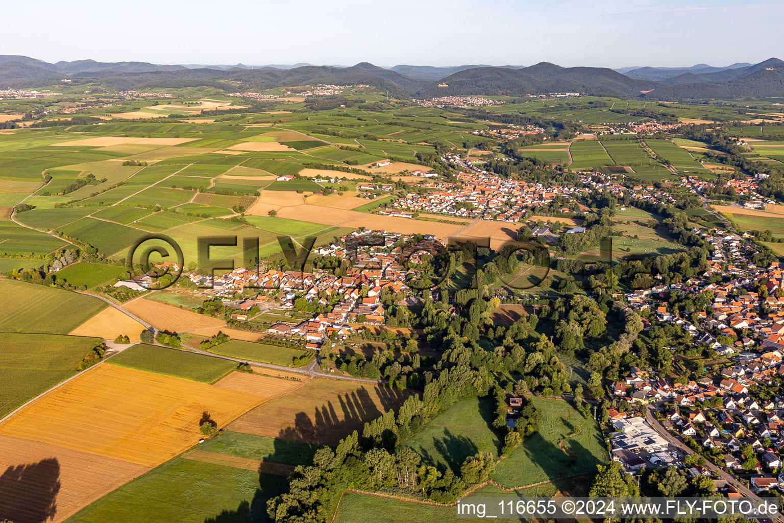 District Billigheim in Billigheim-Ingenheim in the state Rhineland-Palatinate, Germany from above