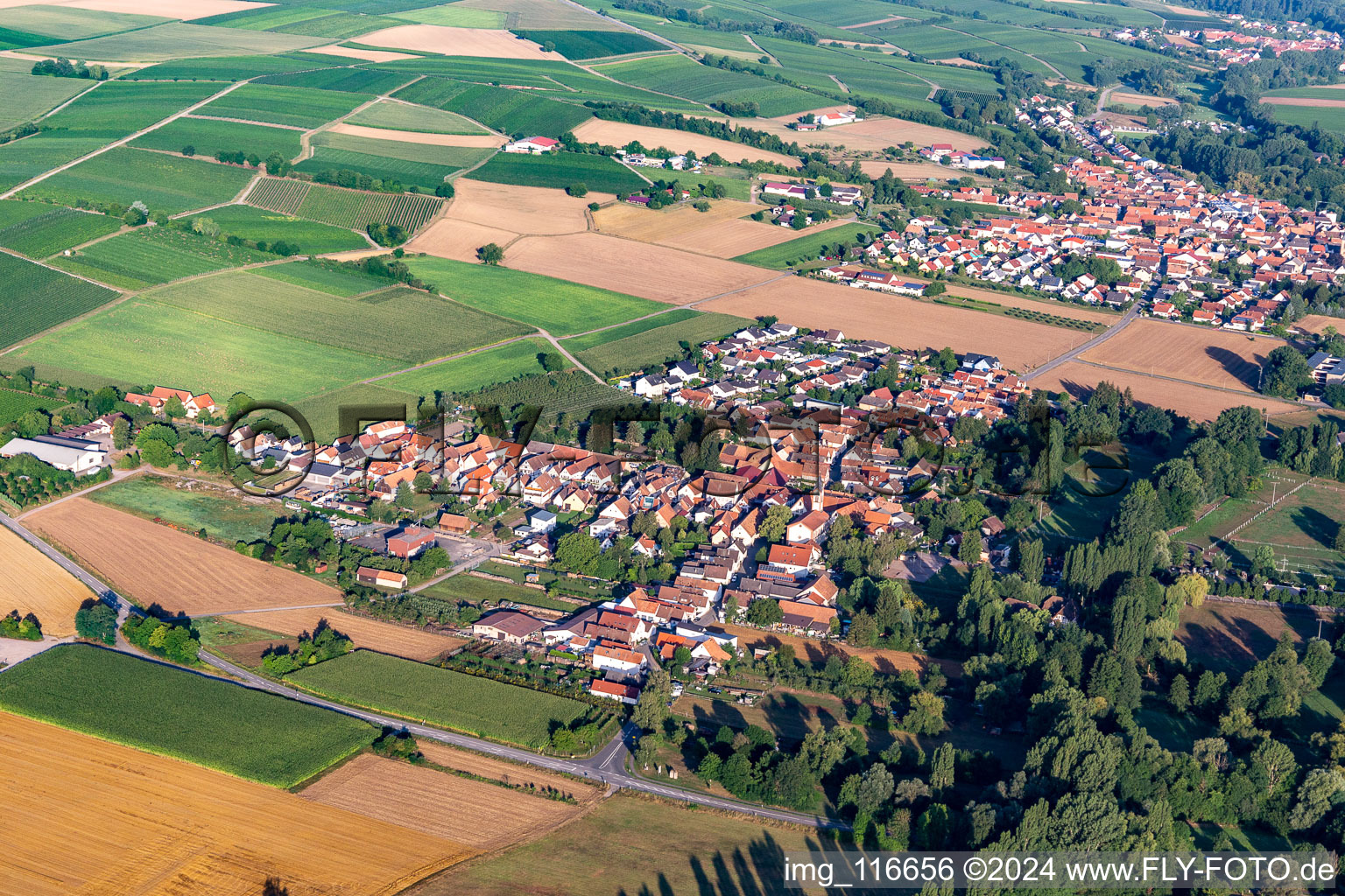 Bird's eye view of District Mühlhofen in Billigheim-Ingenheim in the state Rhineland-Palatinate, Germany