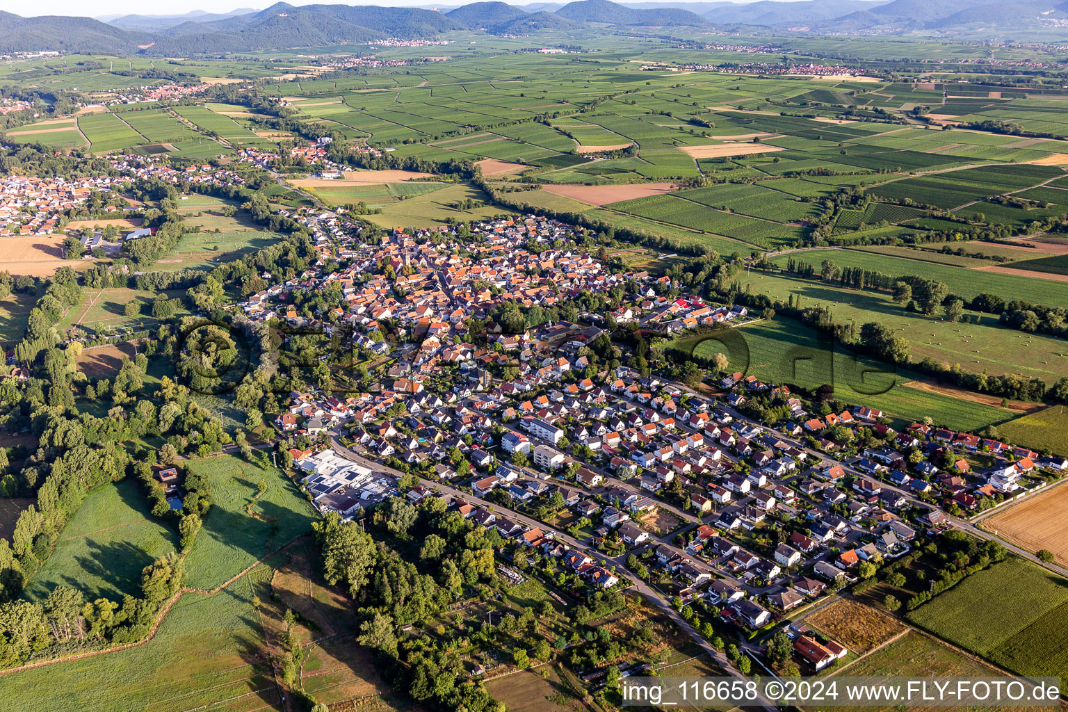 District Billigheim in Billigheim-Ingenheim in the state Rhineland-Palatinate, Germany out of the air