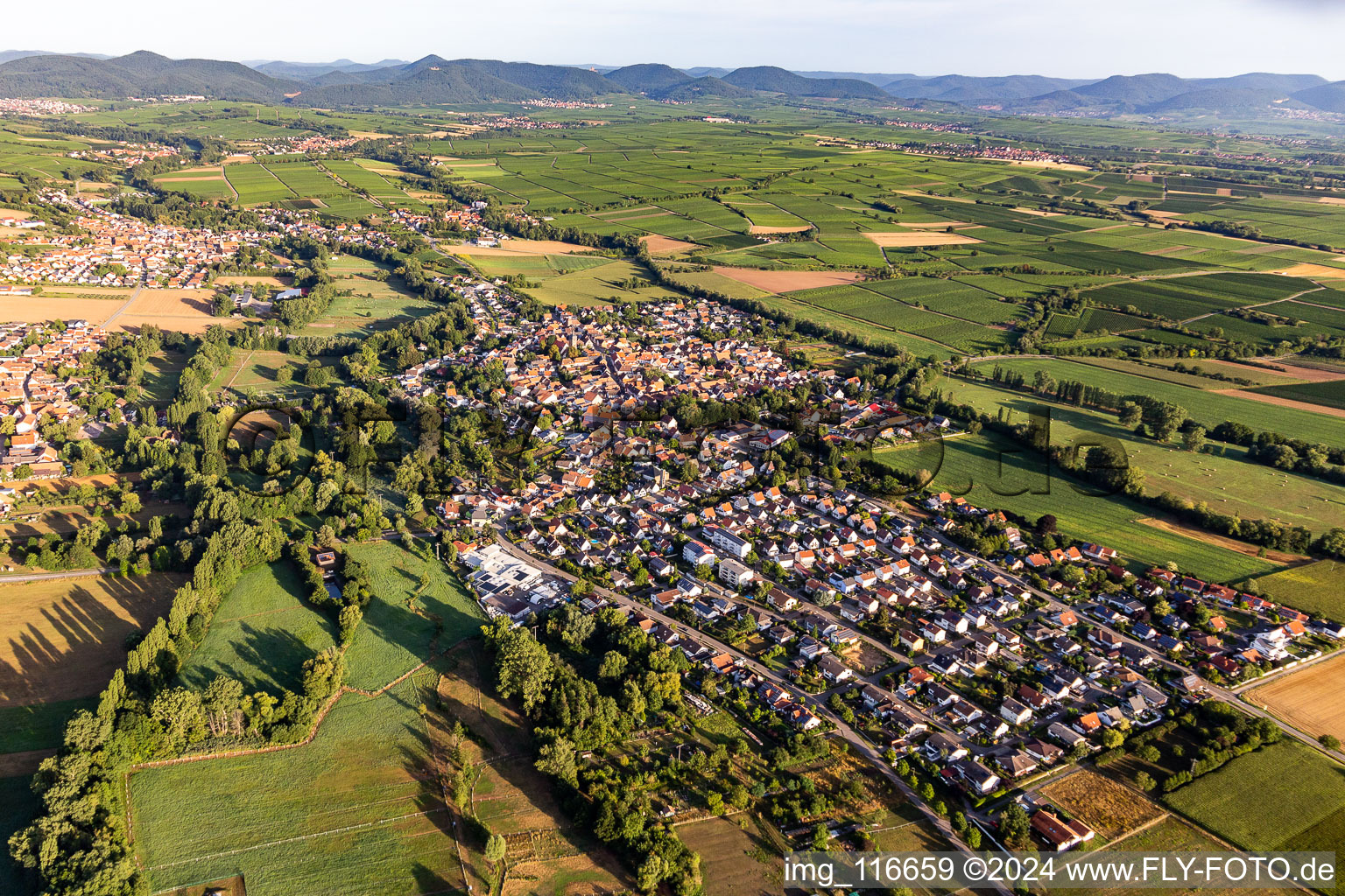 District Billigheim in Billigheim-Ingenheim in the state Rhineland-Palatinate, Germany seen from above