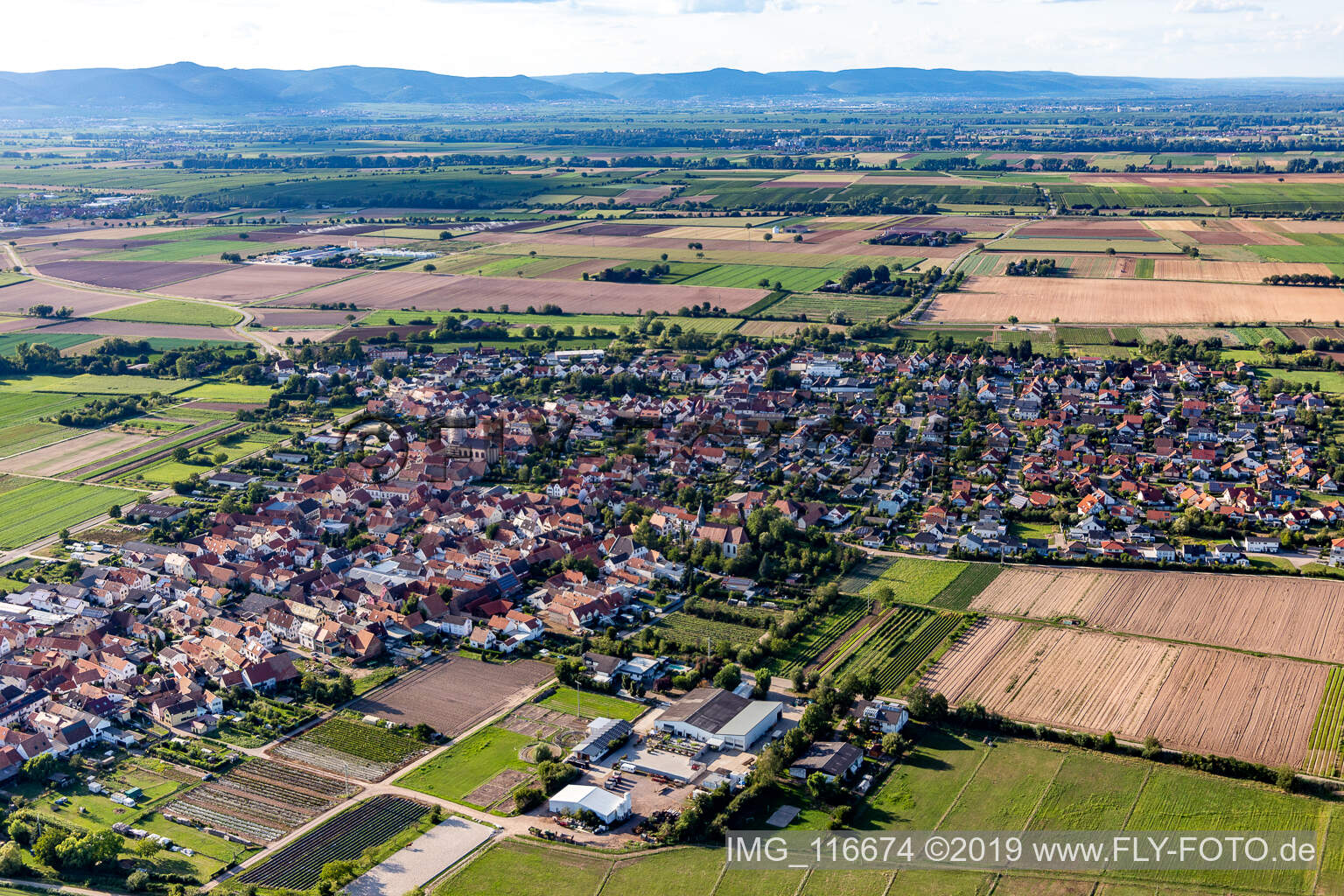 Zeiskam in the state Rhineland-Palatinate, Germany seen from a drone