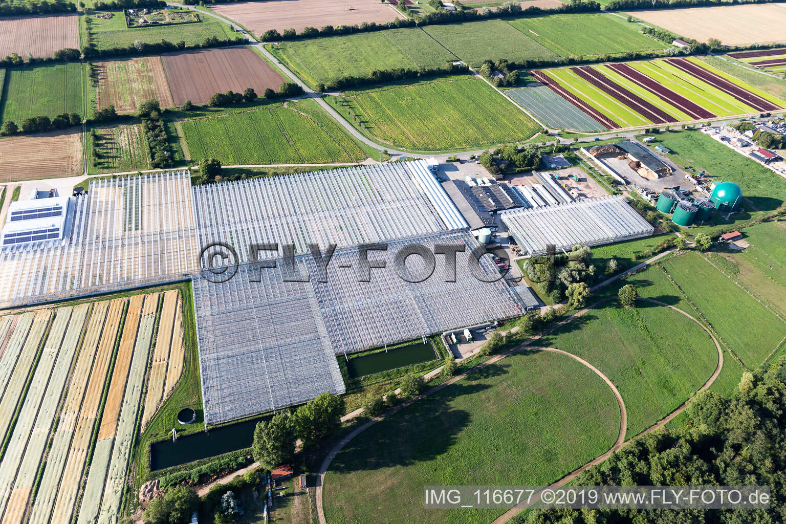 Rudolf Sinn Young Plants GmbH in Lustadt in the state Rhineland-Palatinate, Germany