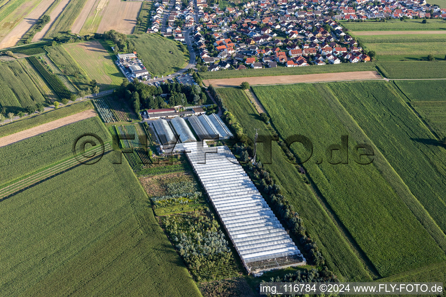 Aerial view of Shepherd Flowers in the district Mechtersheim in Römerberg in the state Rhineland-Palatinate, Germany